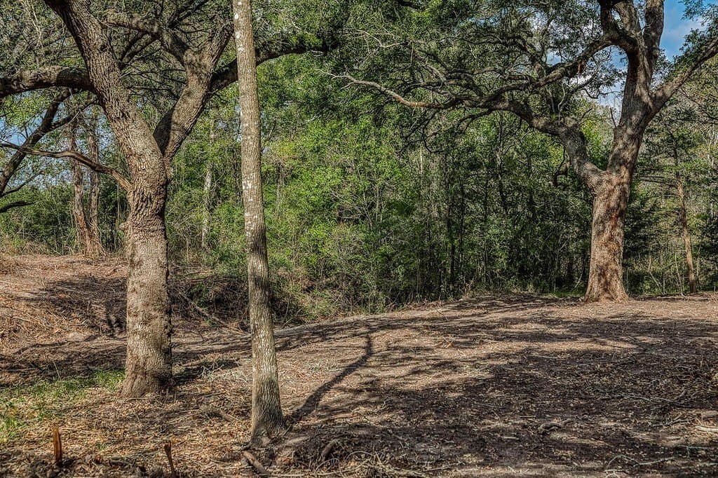 20.5 acres in Washington County gallery image 4