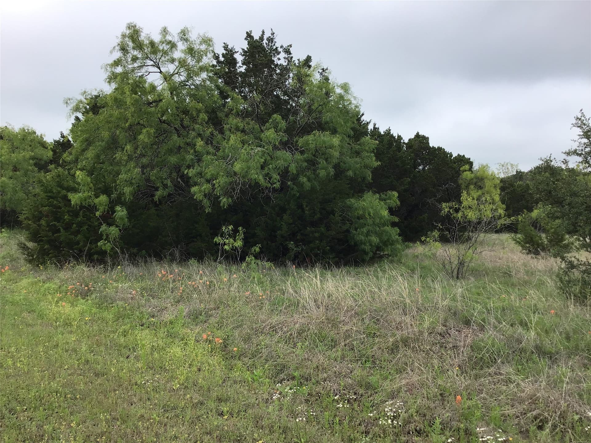 0.26 acres in Hill County gallery image 3