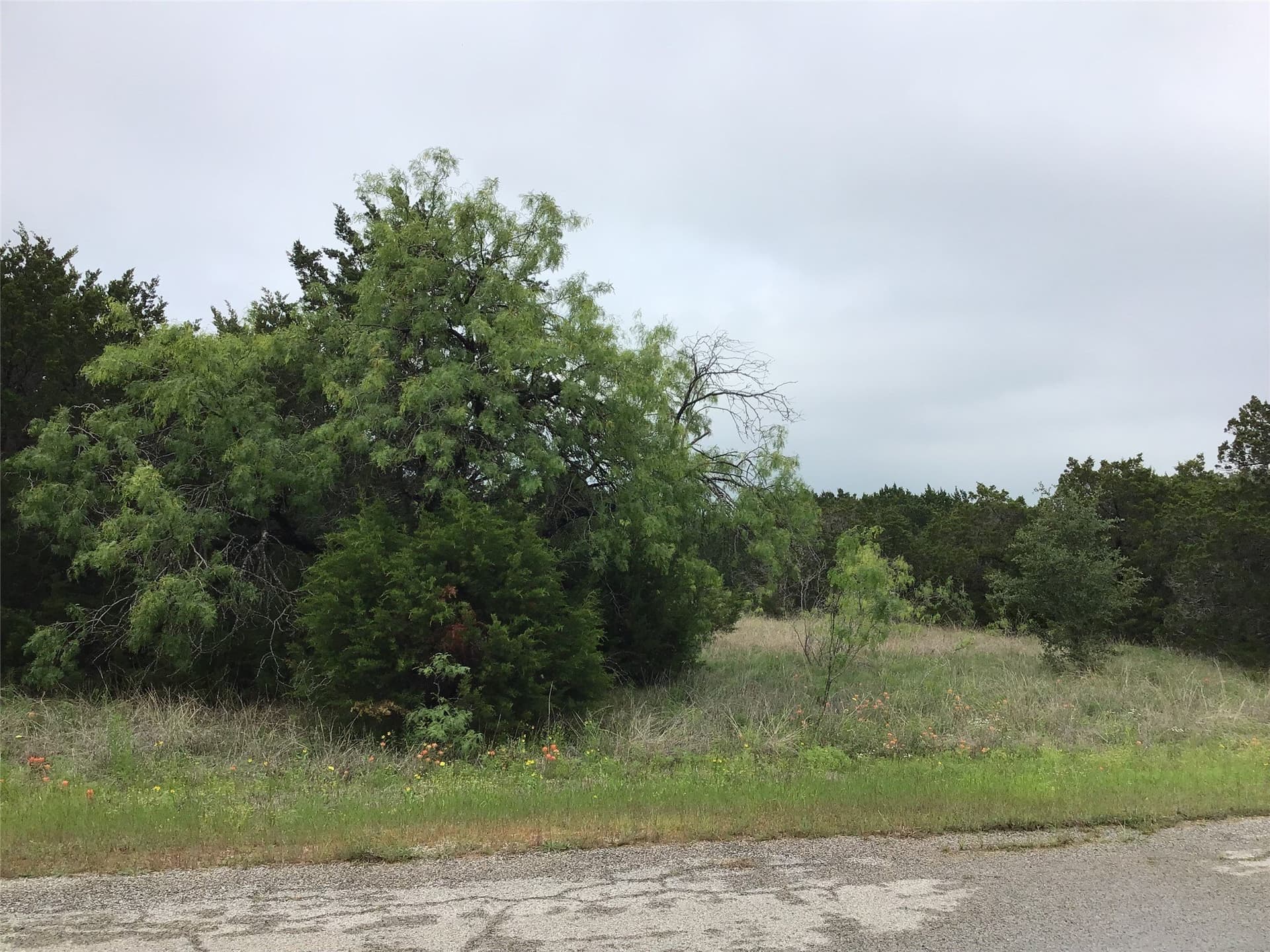 0.26 acres in Hill County - photo 6