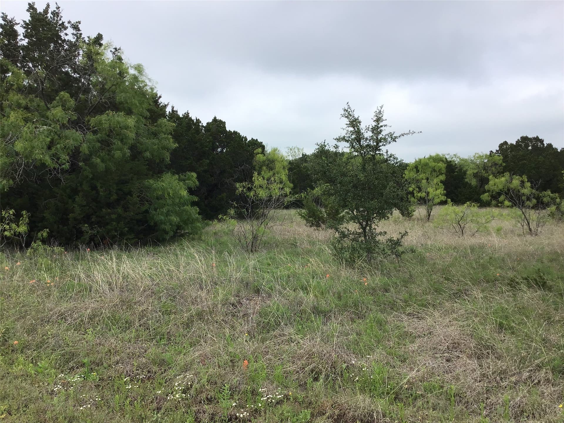 0.26 acres in Hill County gallery image 2