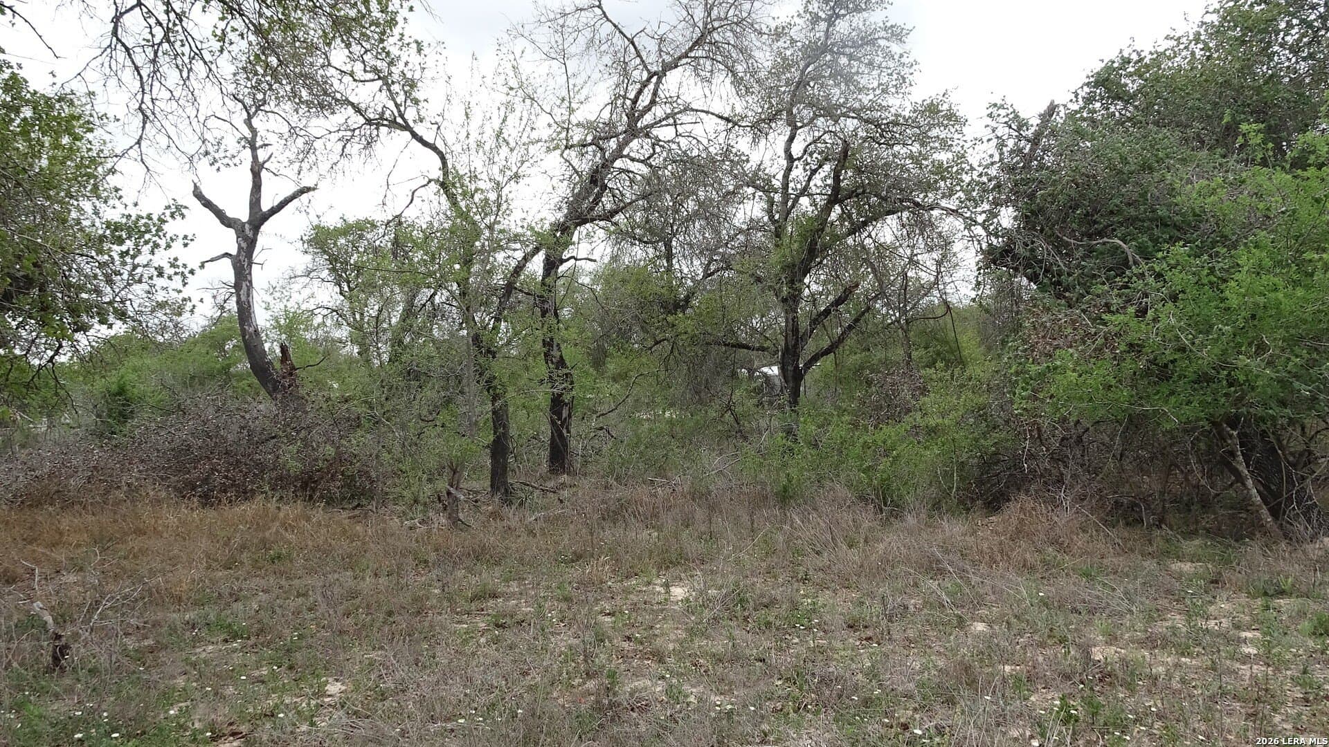 0.38 acres in Bexar County featured view