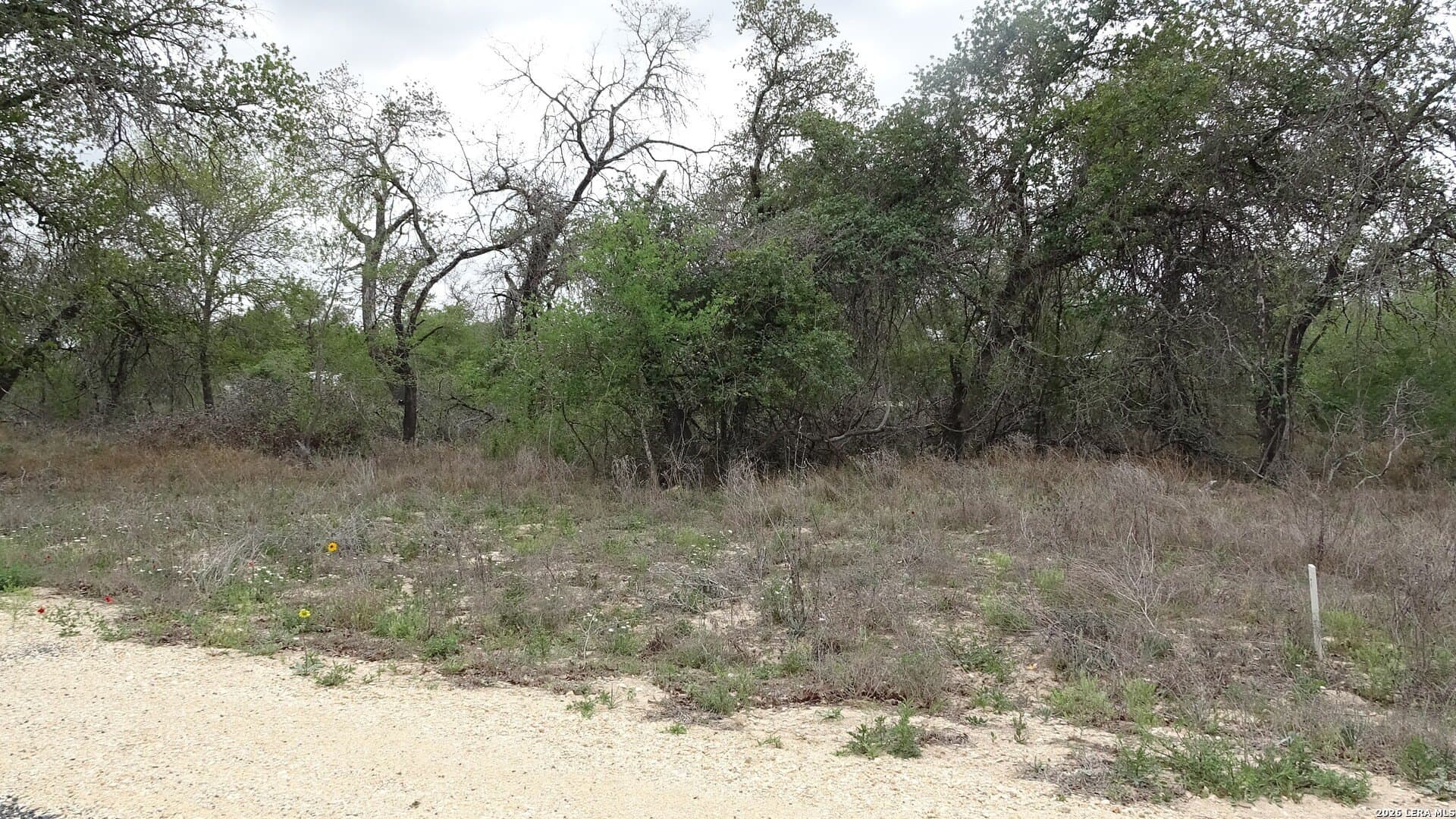 0.38 acres in Bexar County gallery image 2