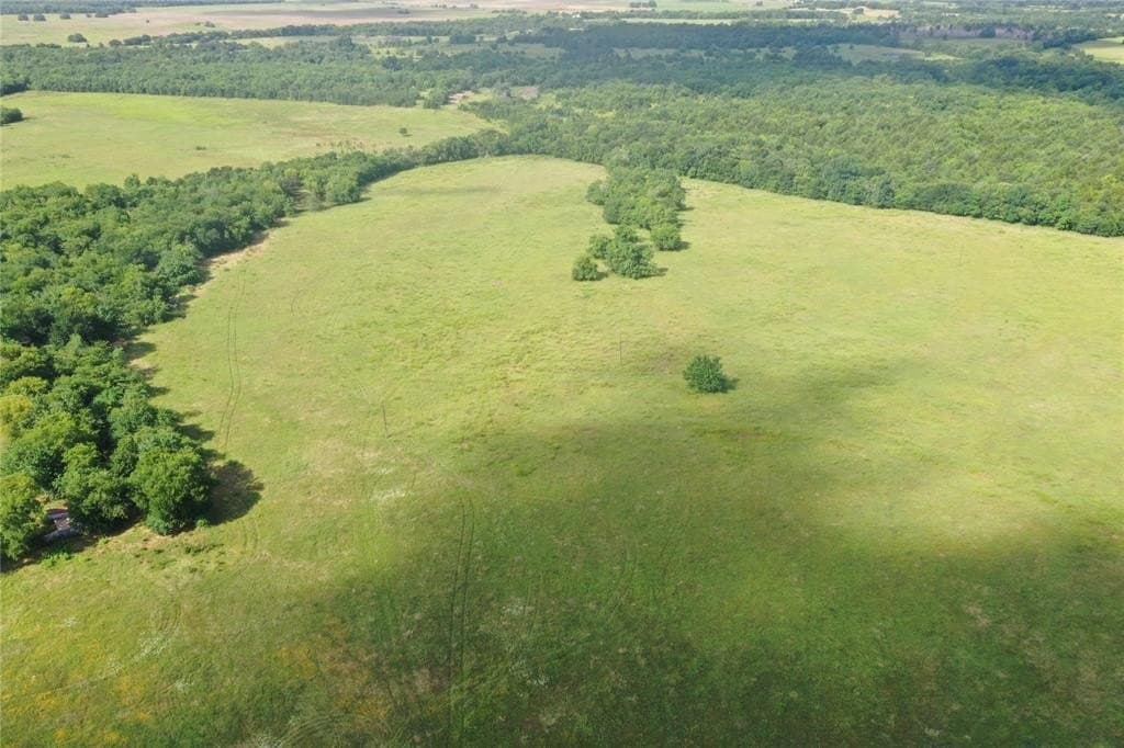 34.13 acres in Fannin County gallery image 4