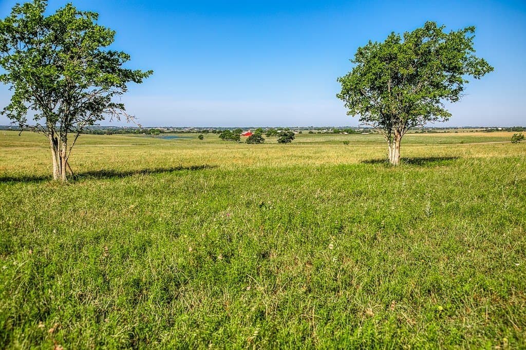 25.21 acres in Washington County gallery image 3