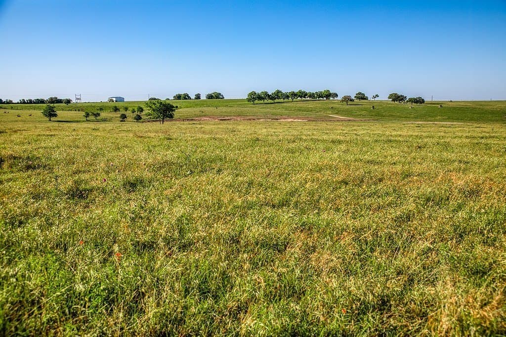 25.21 acres in Washington County gallery image 4