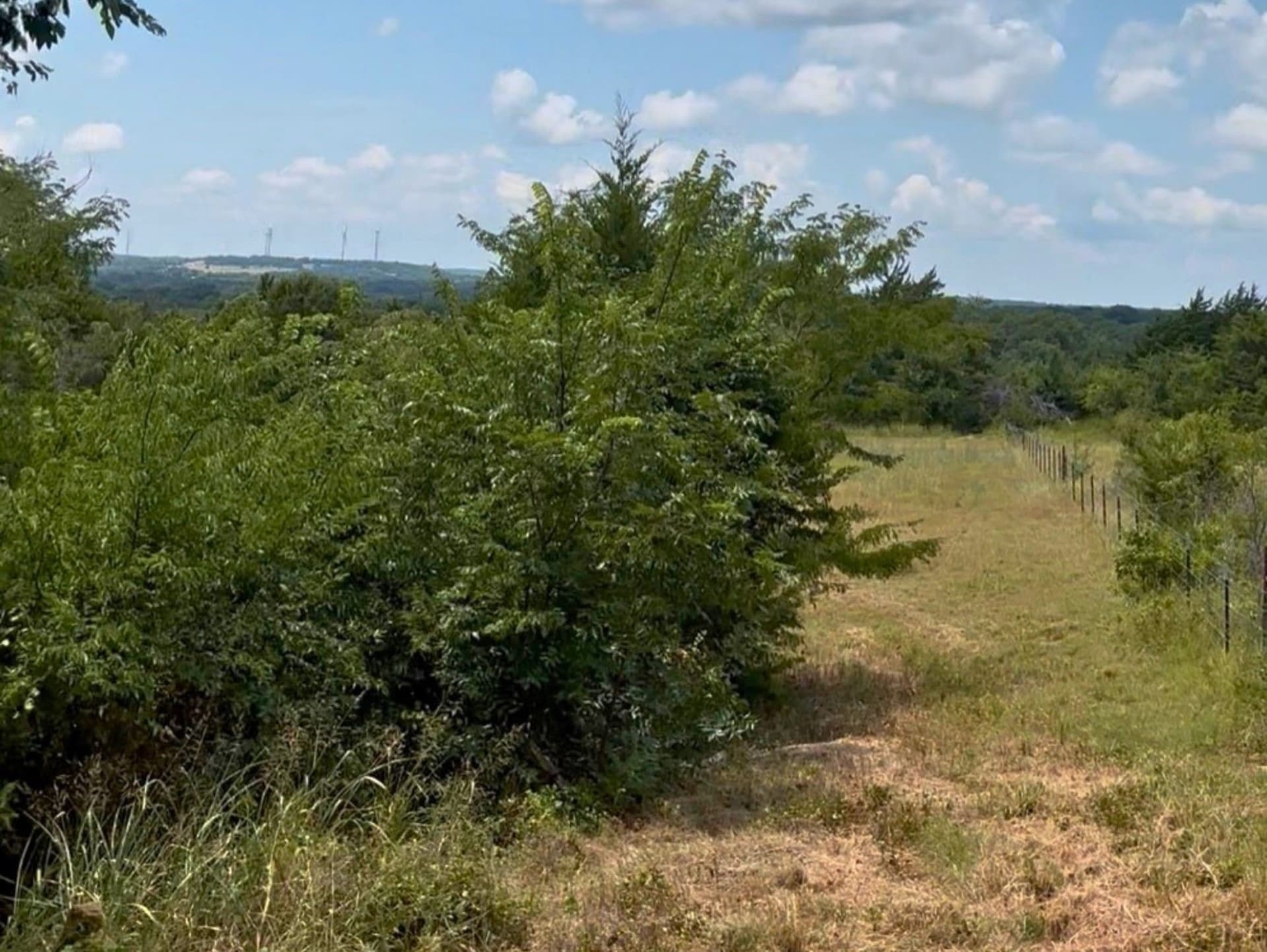 18 acres in Cooke County - photo 2