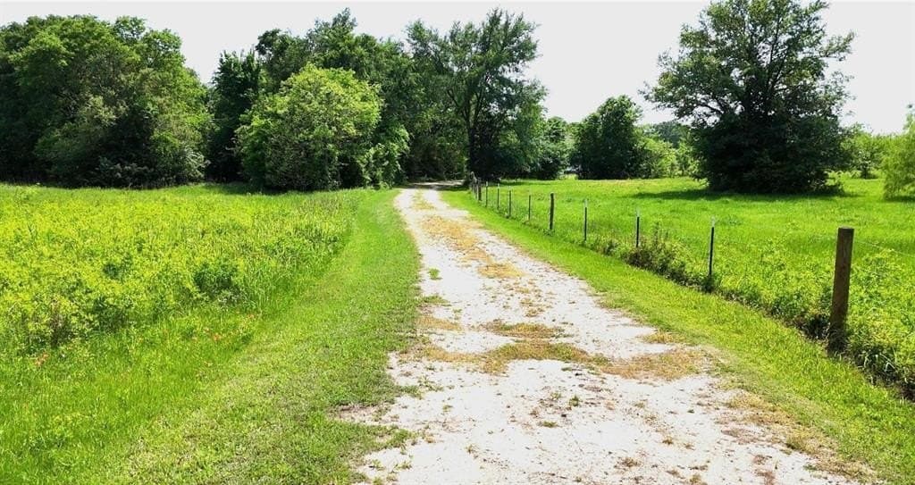 12.01 acres in Limestone County gallery image 2