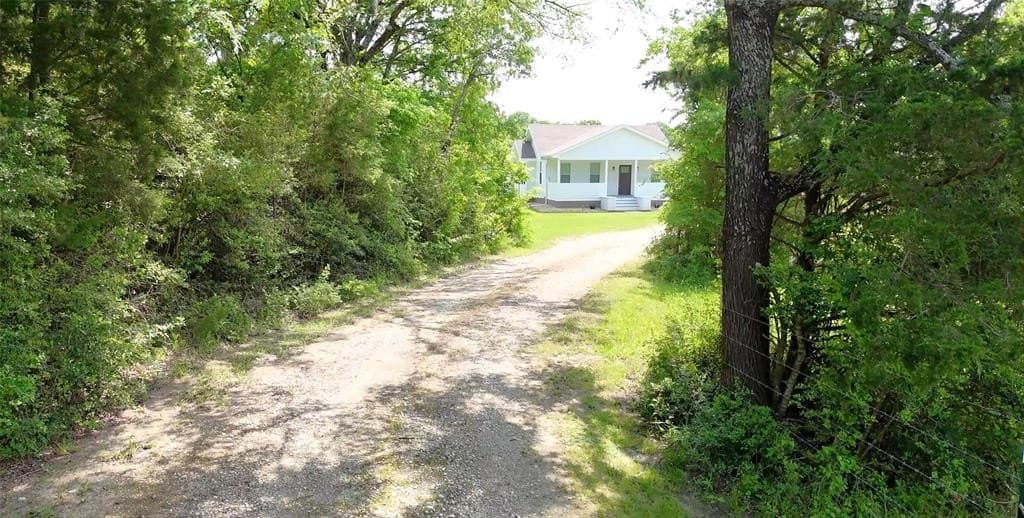 12.01 acres in Limestone County gallery image 3