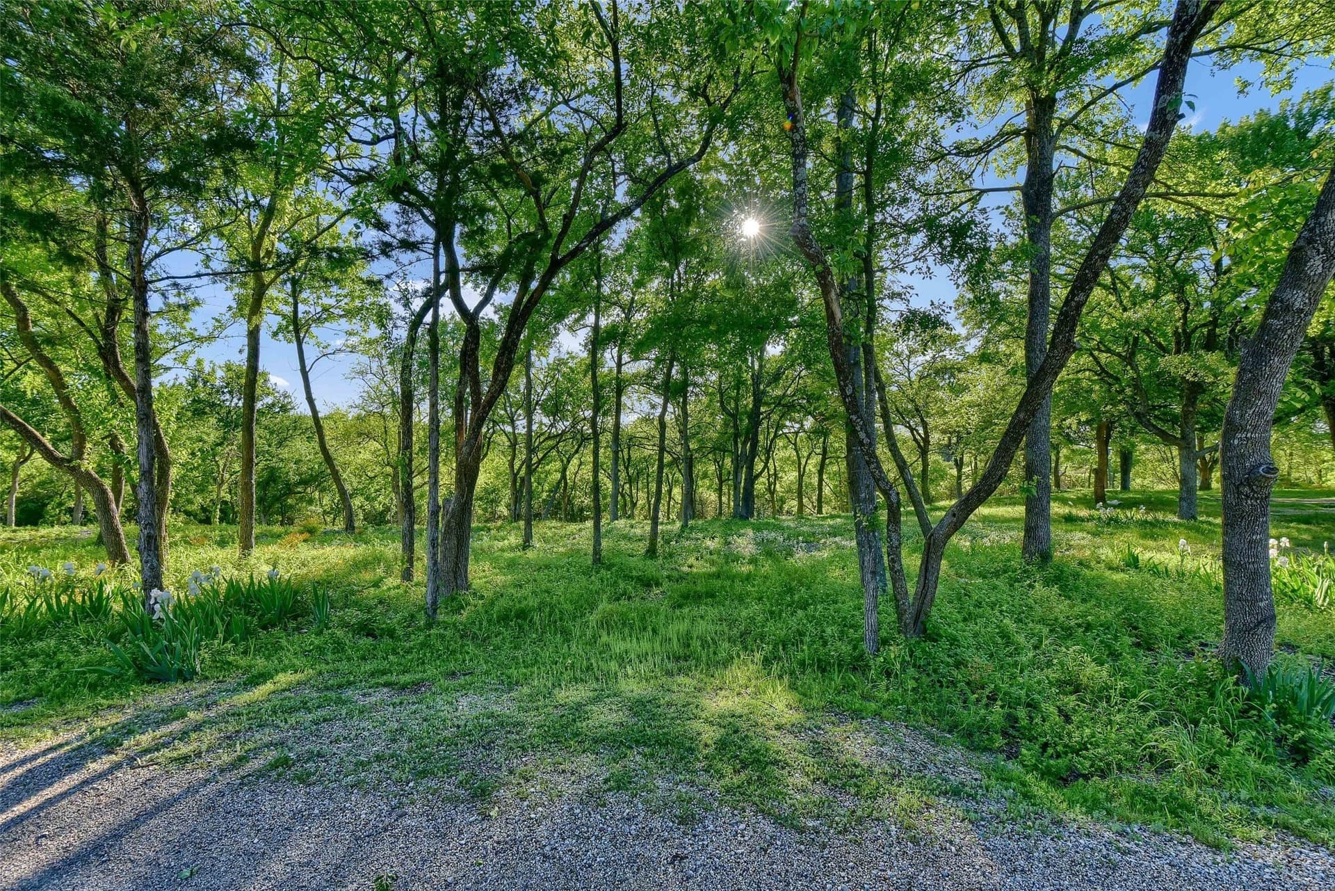 2.83 acres in Grayson County - photo 8