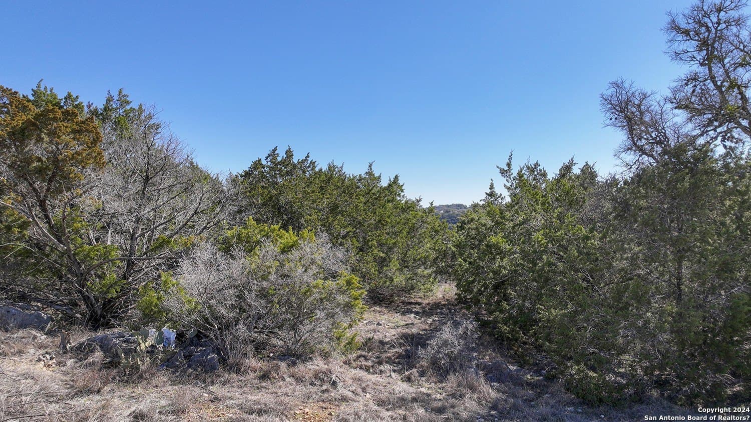 1.75 acres in Comal County - photo 27
