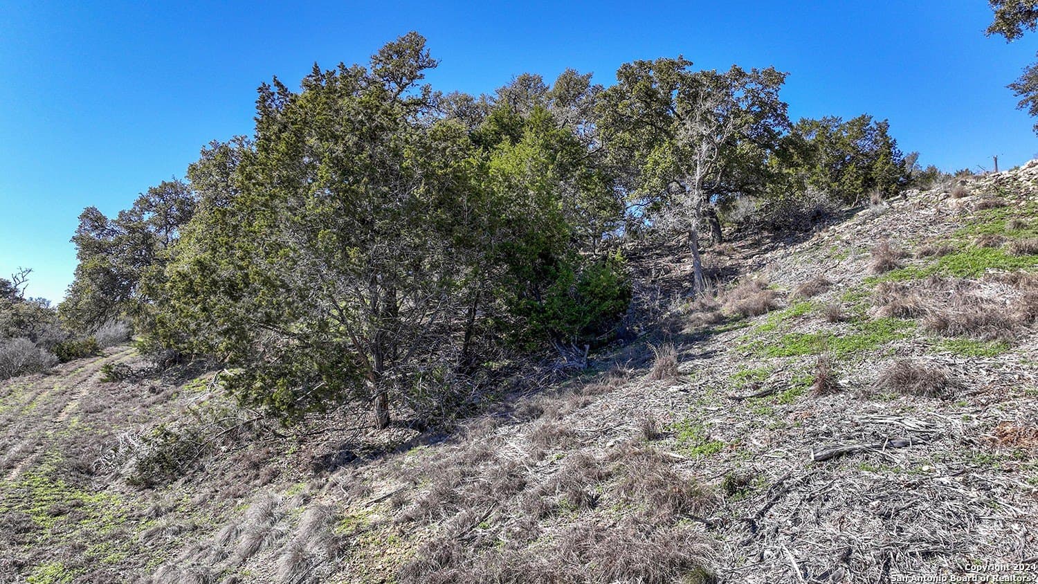 1.75 acres in Comal County - photo 35