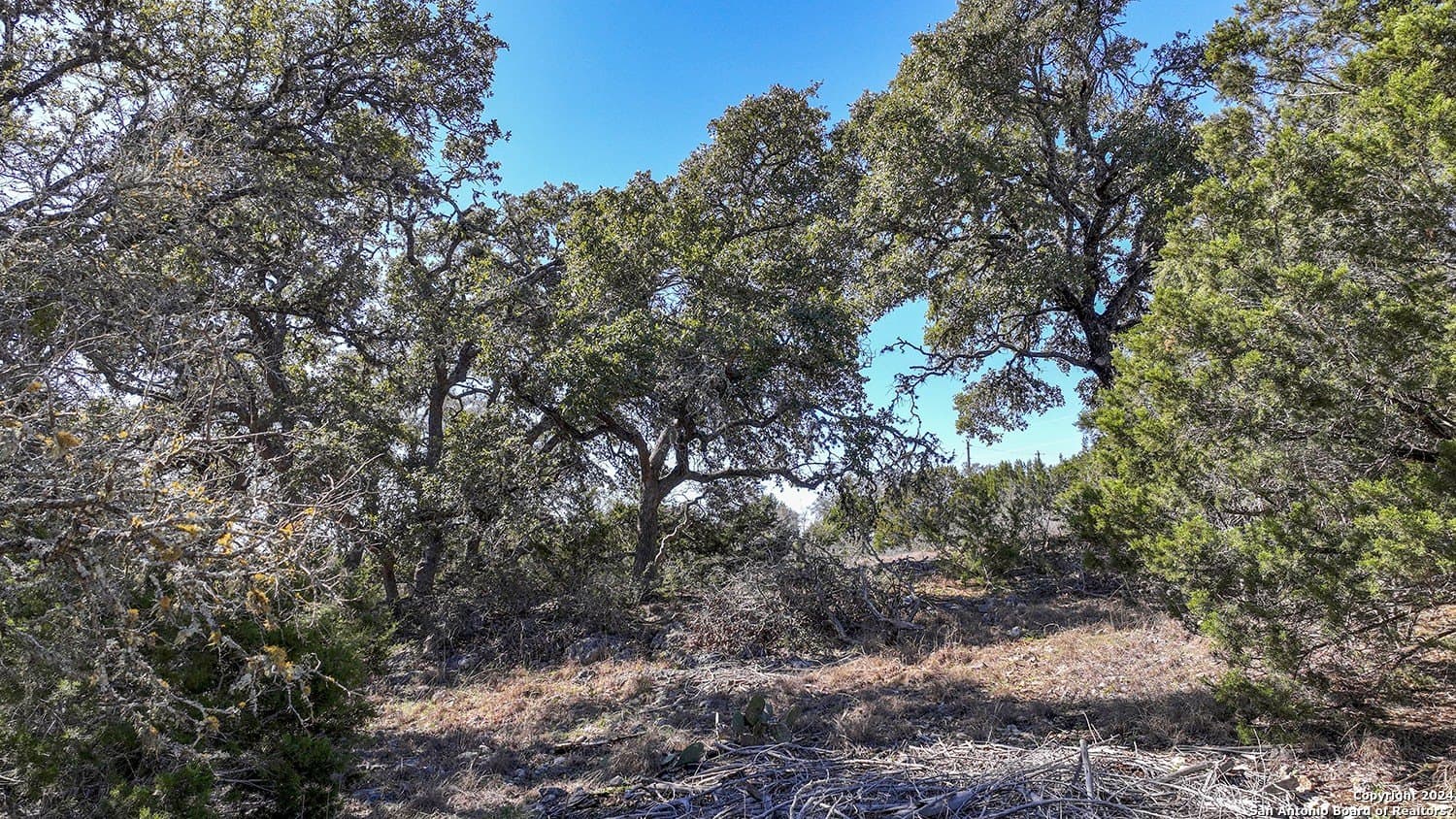 1.75 acres in Comal County - photo 32
