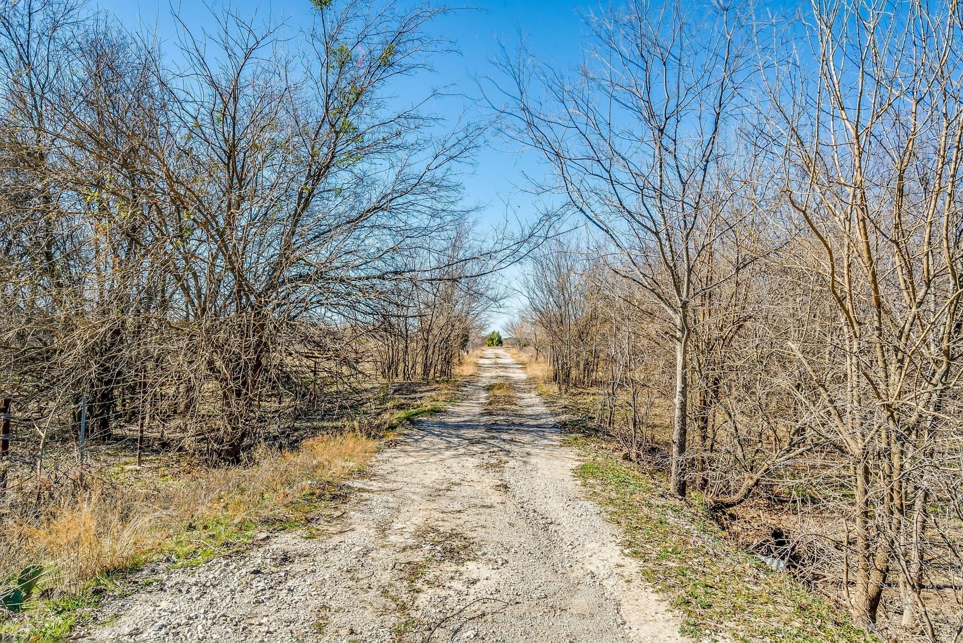 66.77 acres in Parker County - photo 26