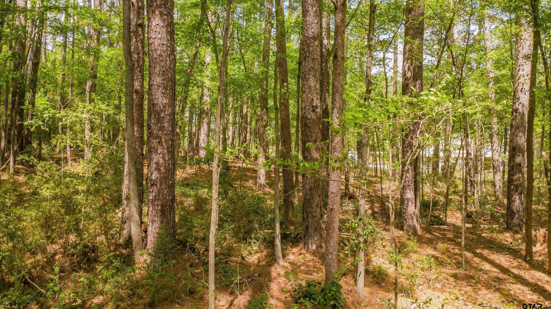0.62 acres in Smith County - photo 10