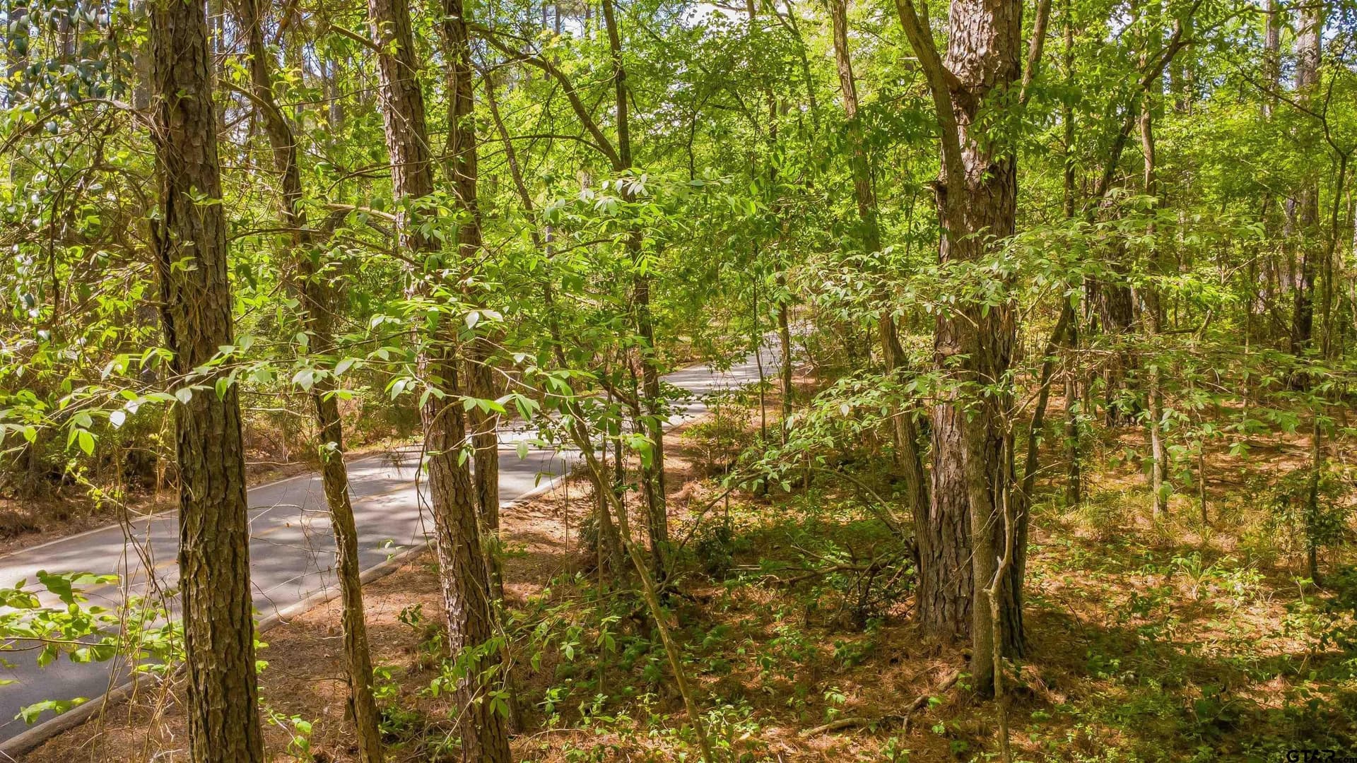 0.62 acres in Smith County - photo 15