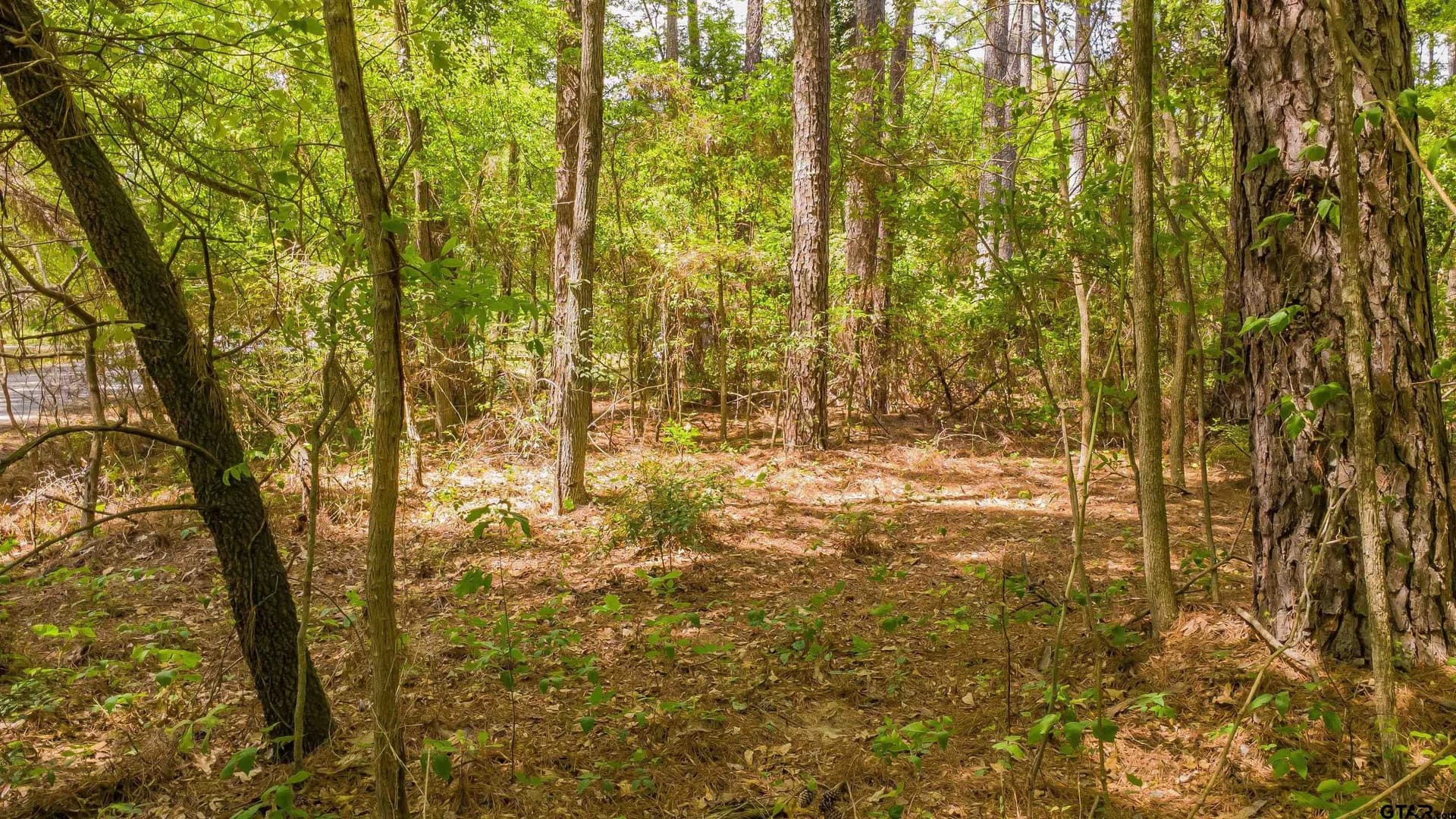 0.62 acres in Smith County - photo 21