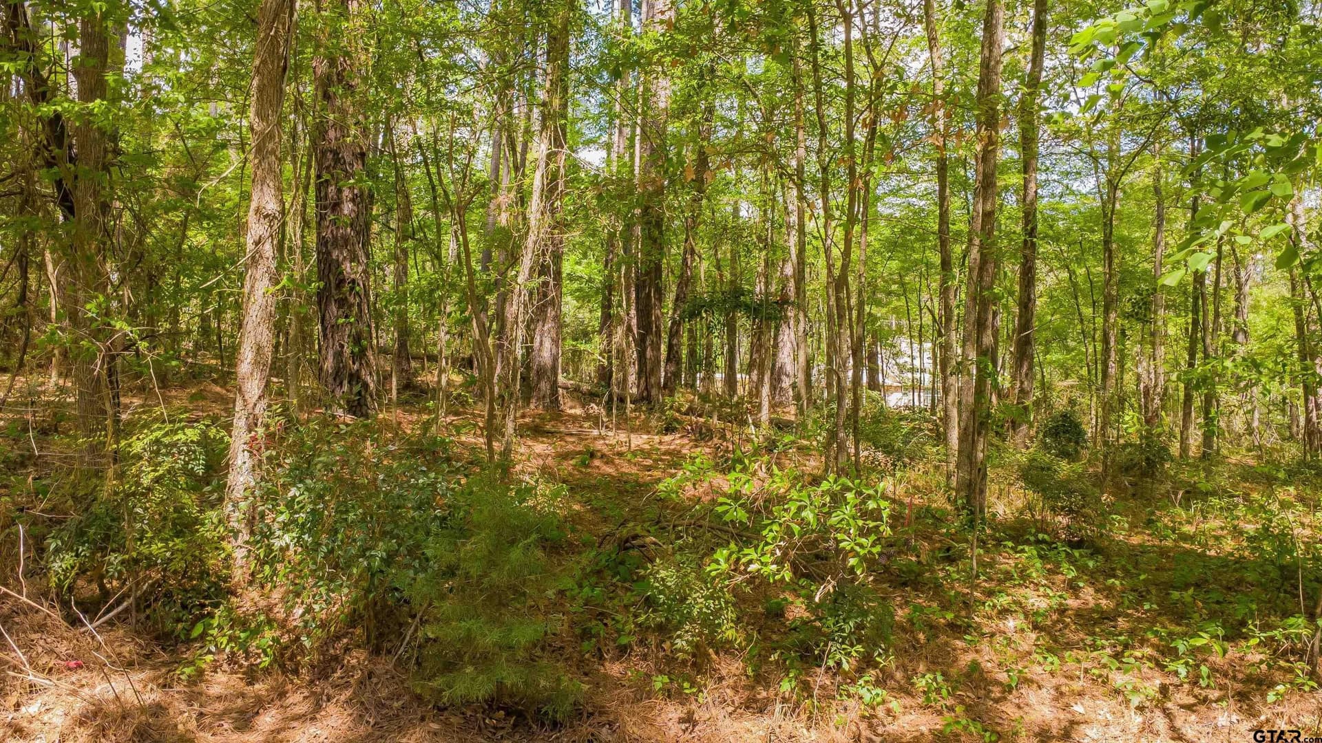0.62 acres in Smith County - photo 18