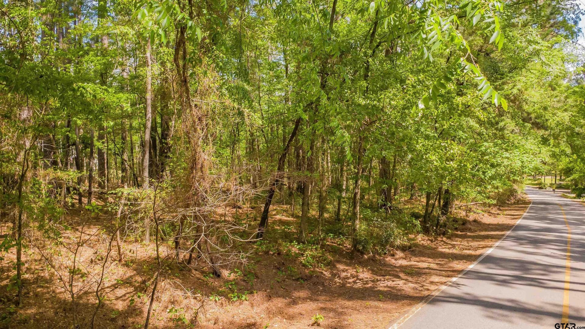 0.62 acres in Smith County - photo 27