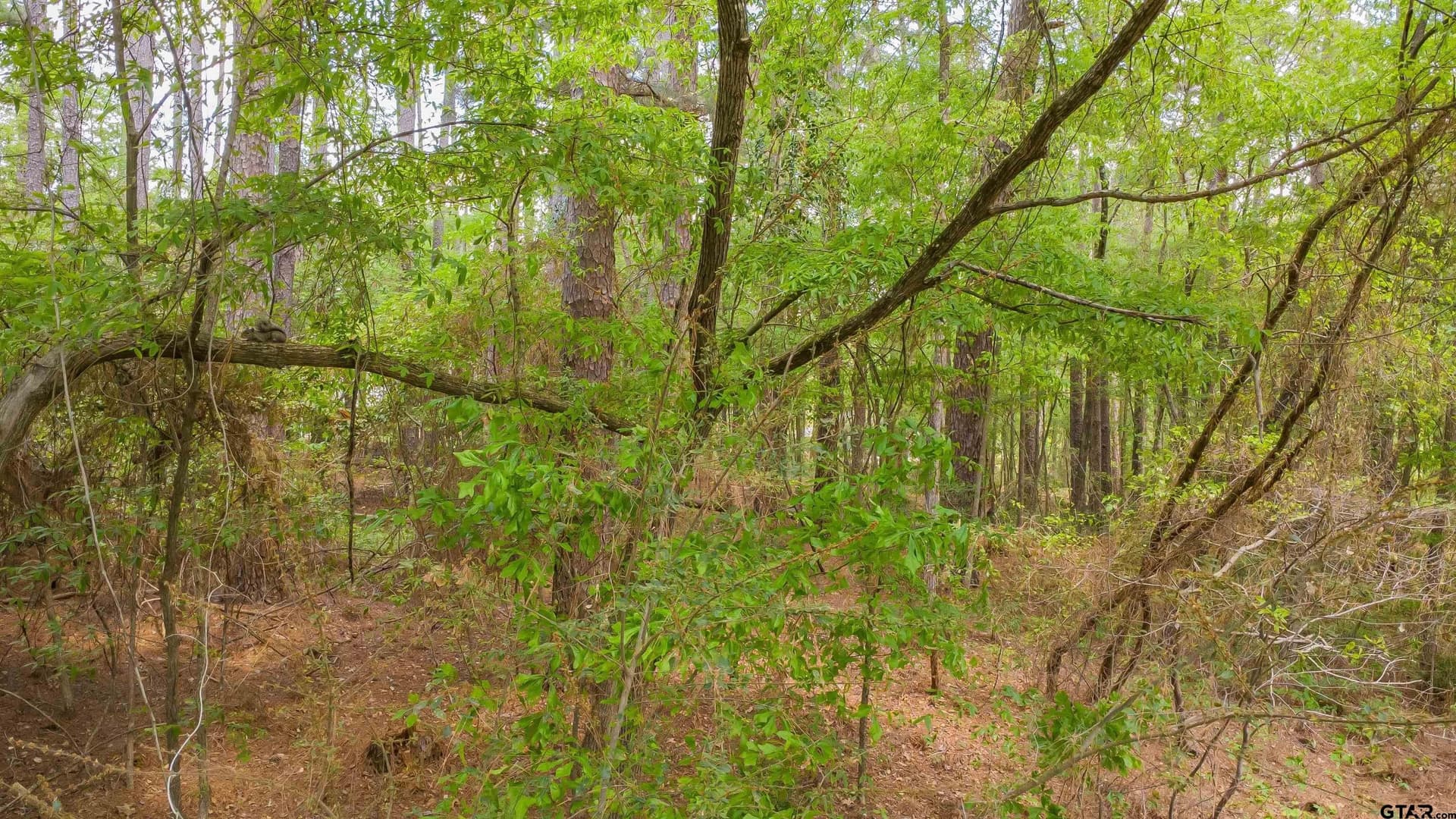 0.62 acres in Smith County - photo 26