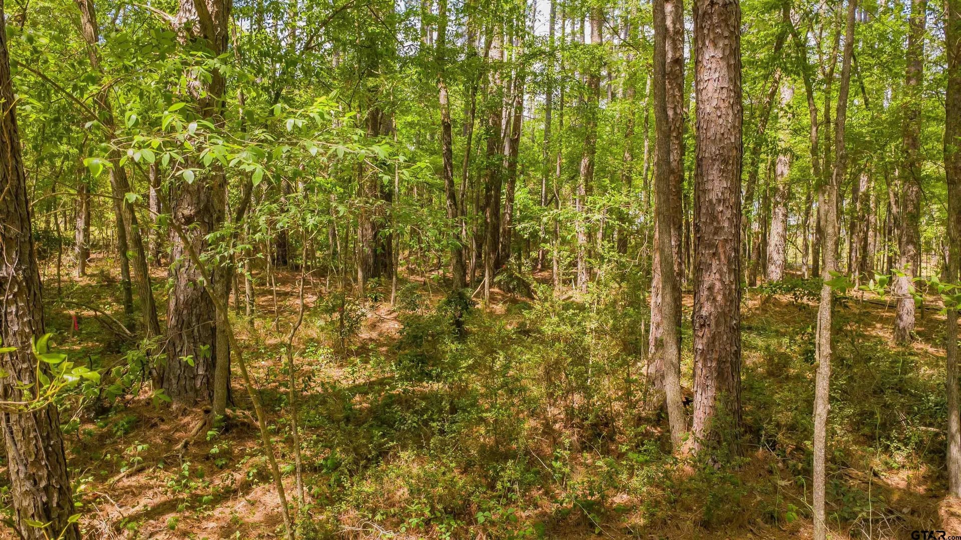 0.62 acres in Smith County - photo 11