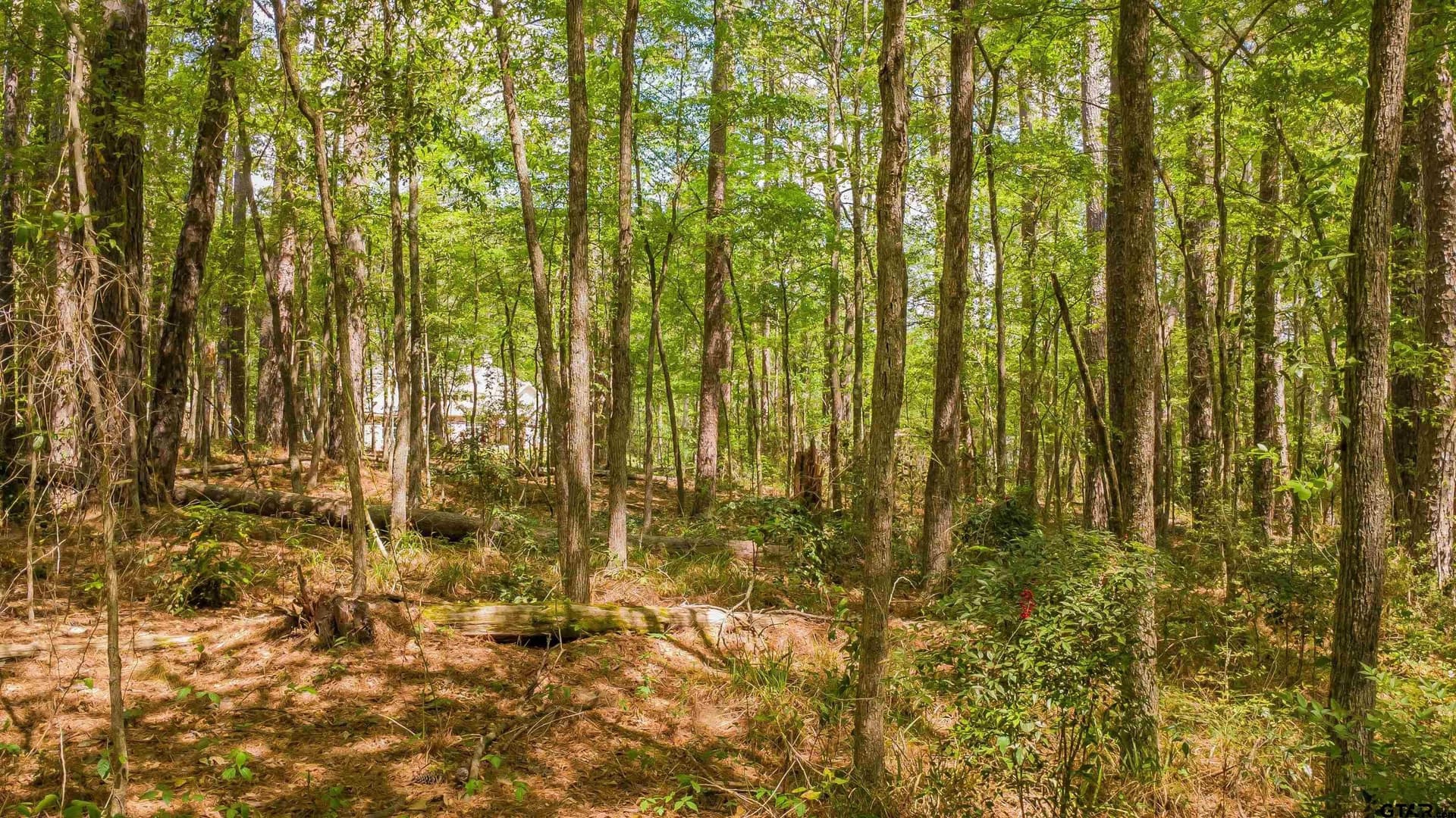 0.62 acres in Smith County - photo 20