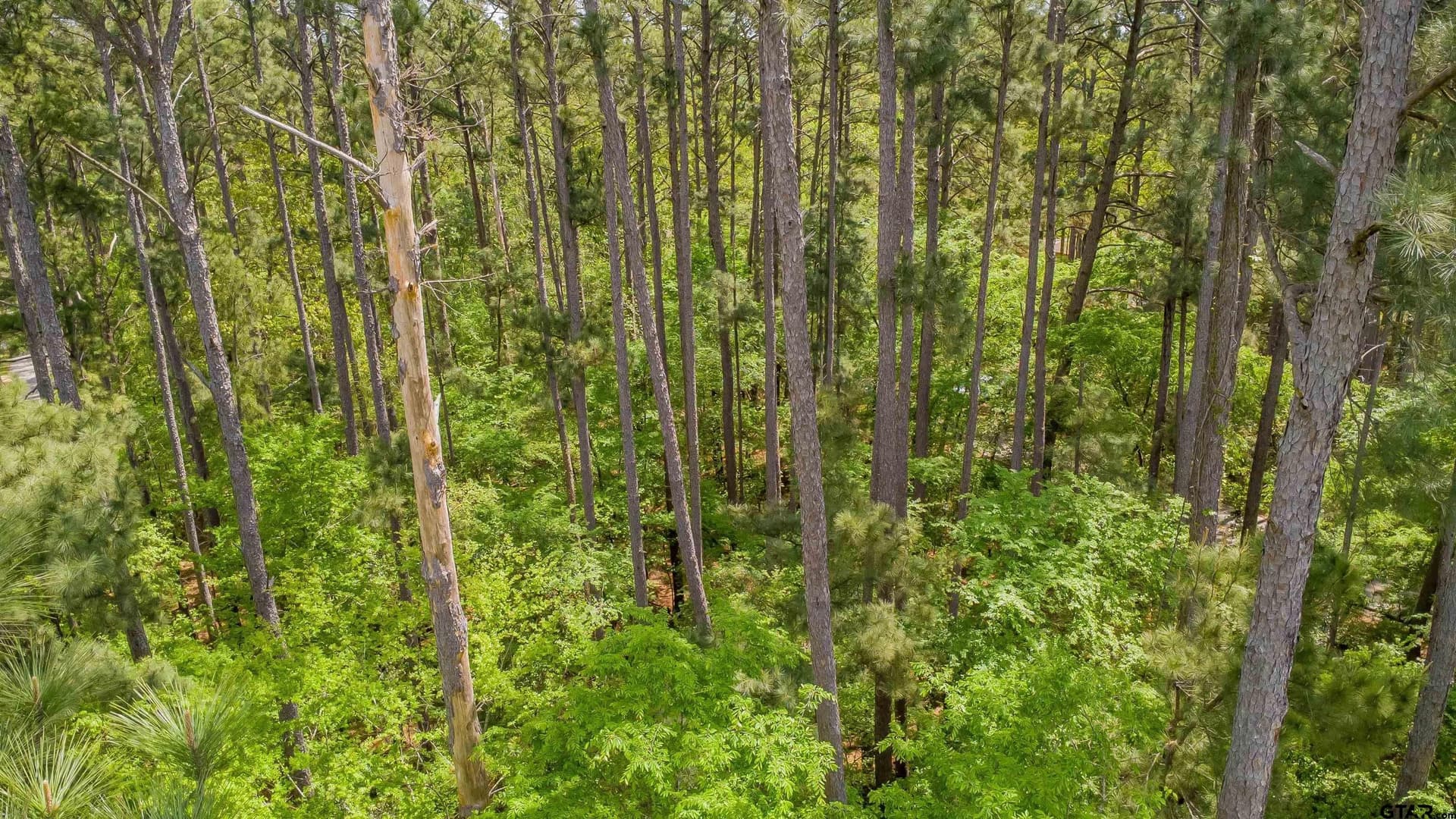 0.62 acres in Smith County - photo 8
