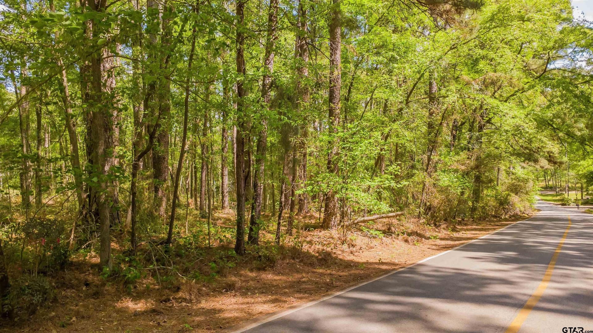 0.62 acres in Smith County - photo 25