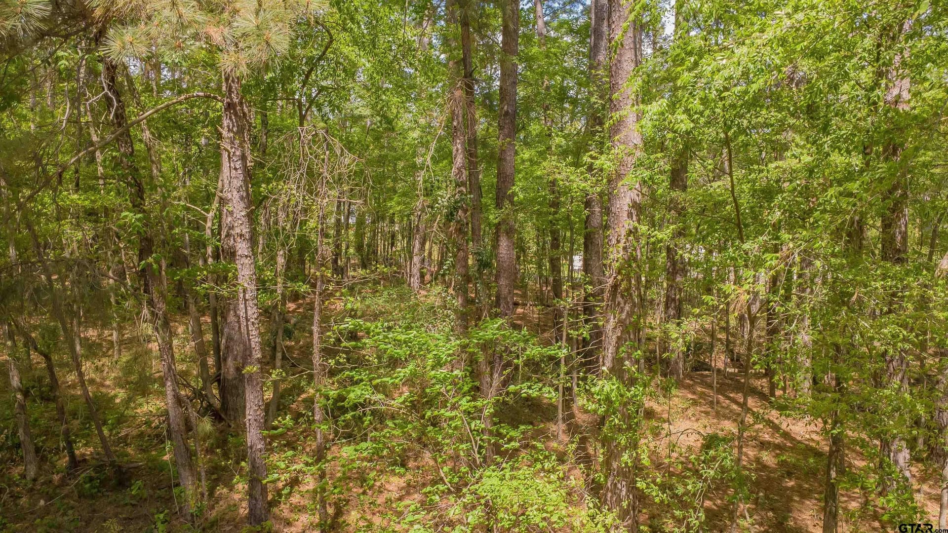 0.62 acres in Smith County - photo 9