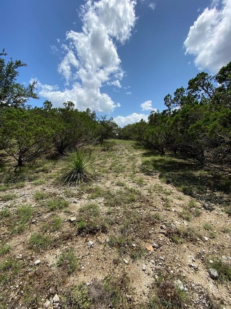 8.81 acres in Bexar County - photo 3