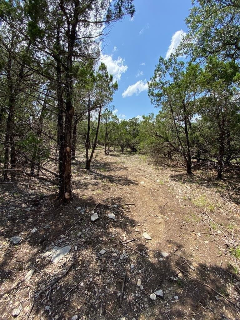 8.81 acres in Bexar County - photo 2