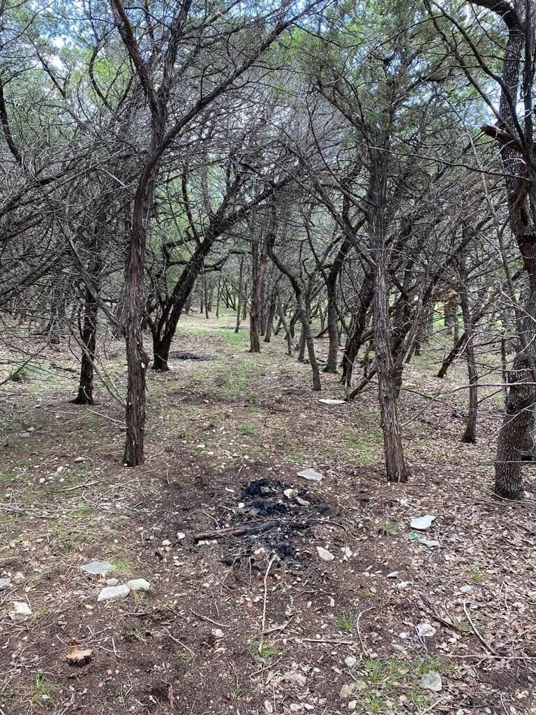 8.81 acres in Bexar County - photo 16