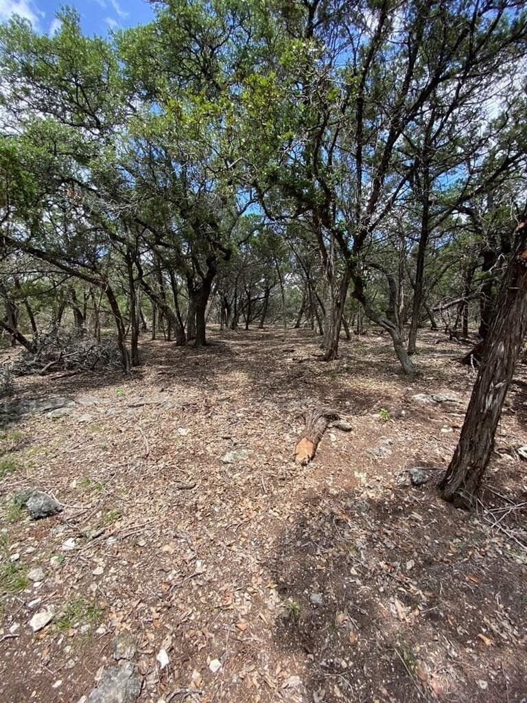 8.81 acres in Bexar County - photo 5