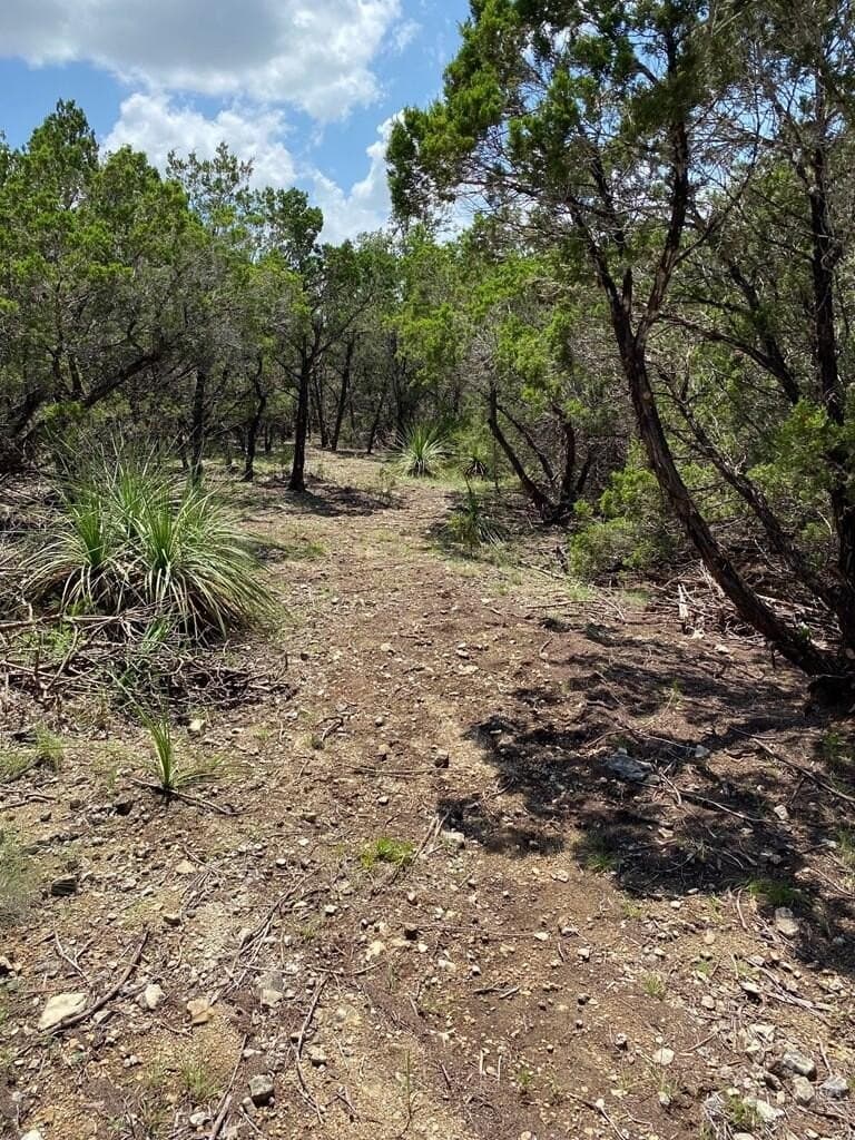 8.81 acres in Bexar County - photo 4