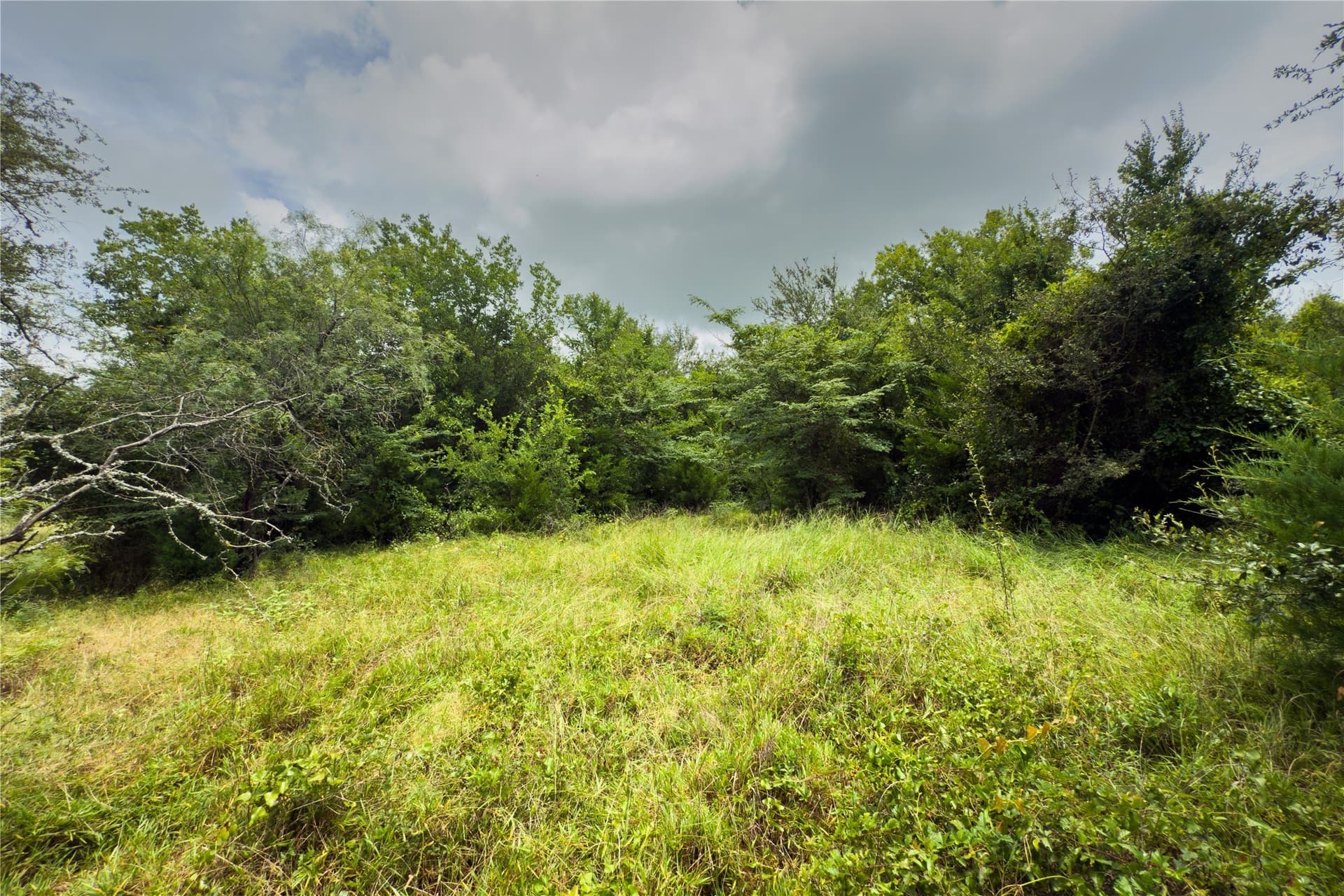 1.82 acres in Falls County - photo 18