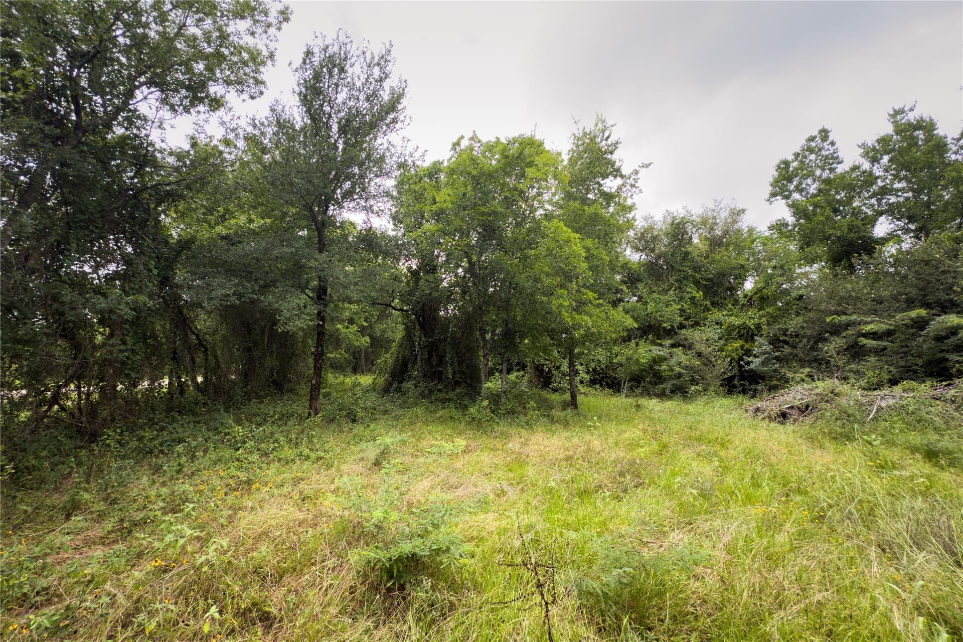 1.82 acres in Falls County - photo 14