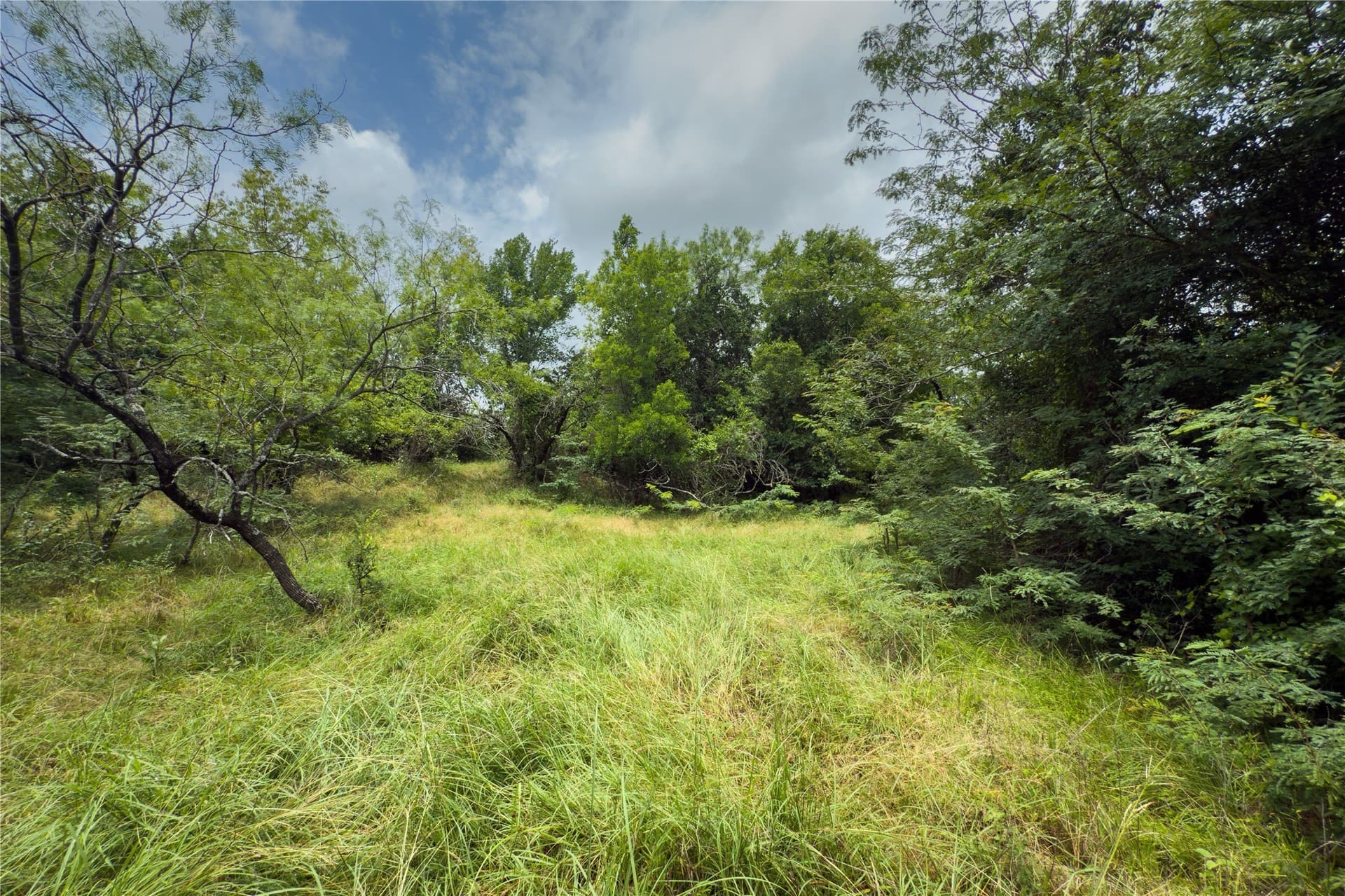 1.82 acres in Falls County - photo 17