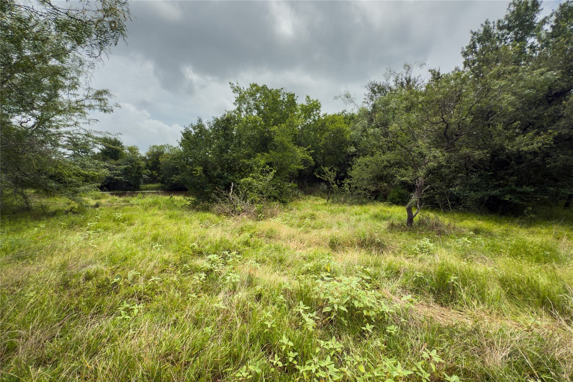 1.82 acres in Falls County - photo 12