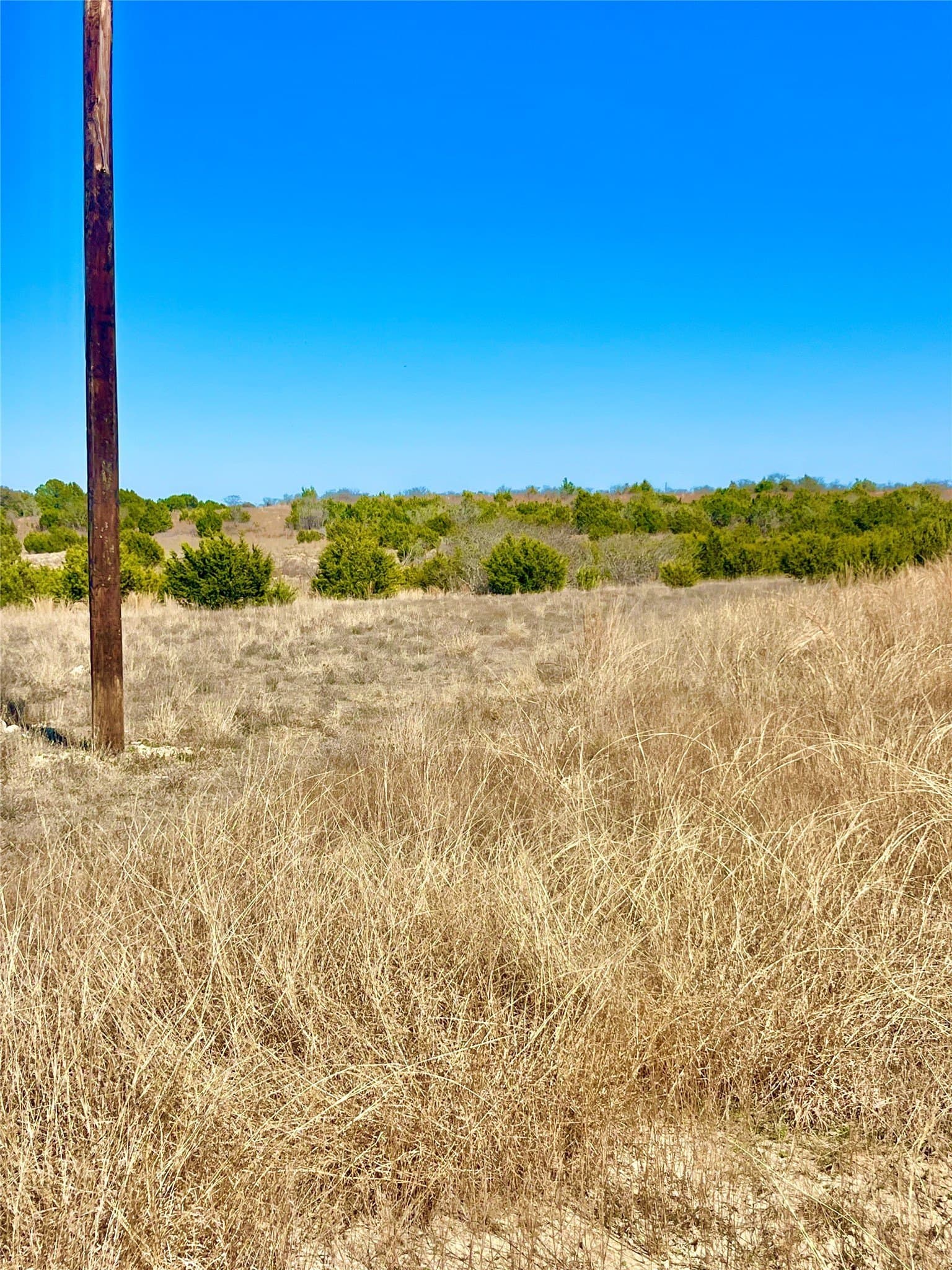 10.01 acres in Hamilton County - photo 7