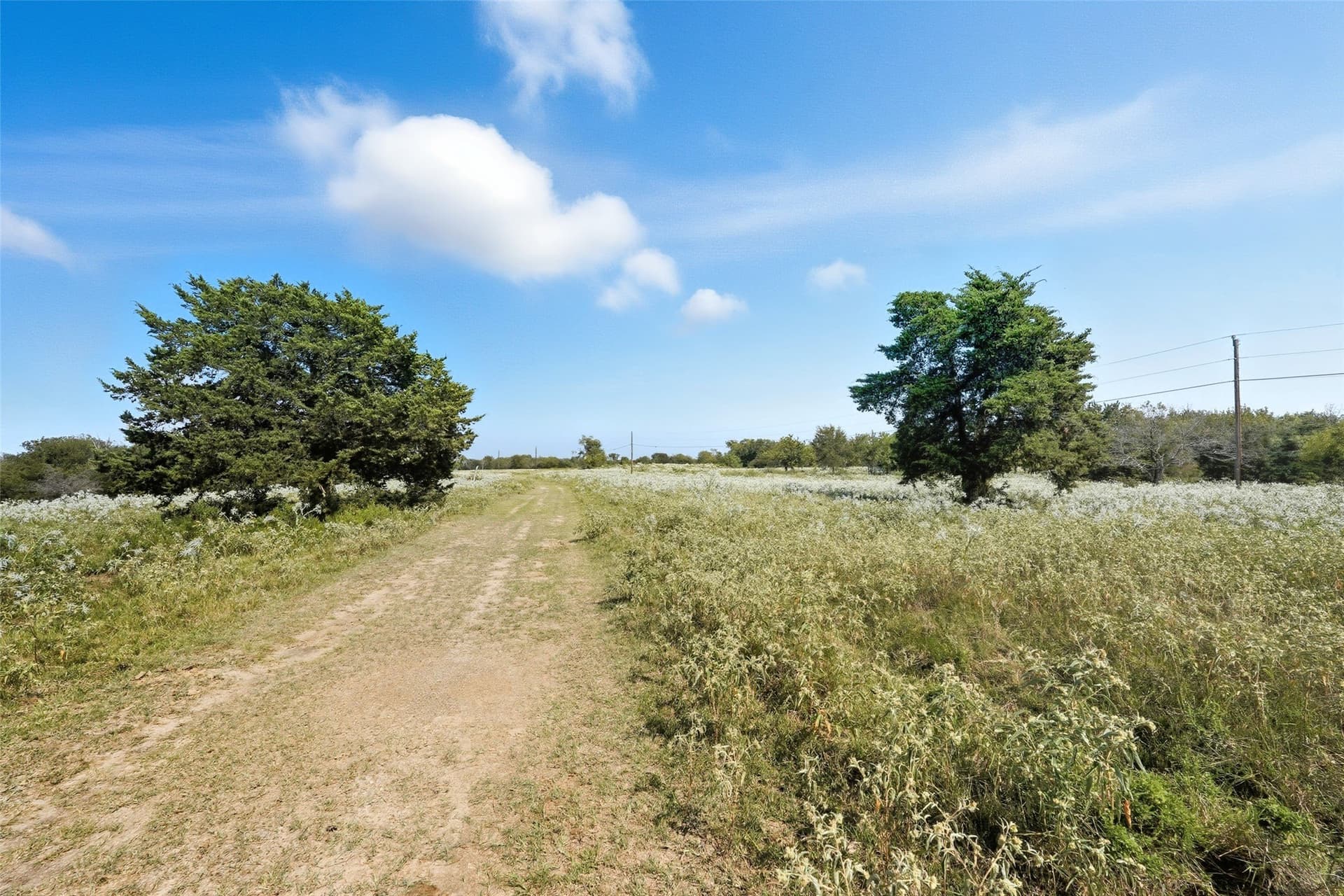 79.96 acres in Hunt County - photo 27