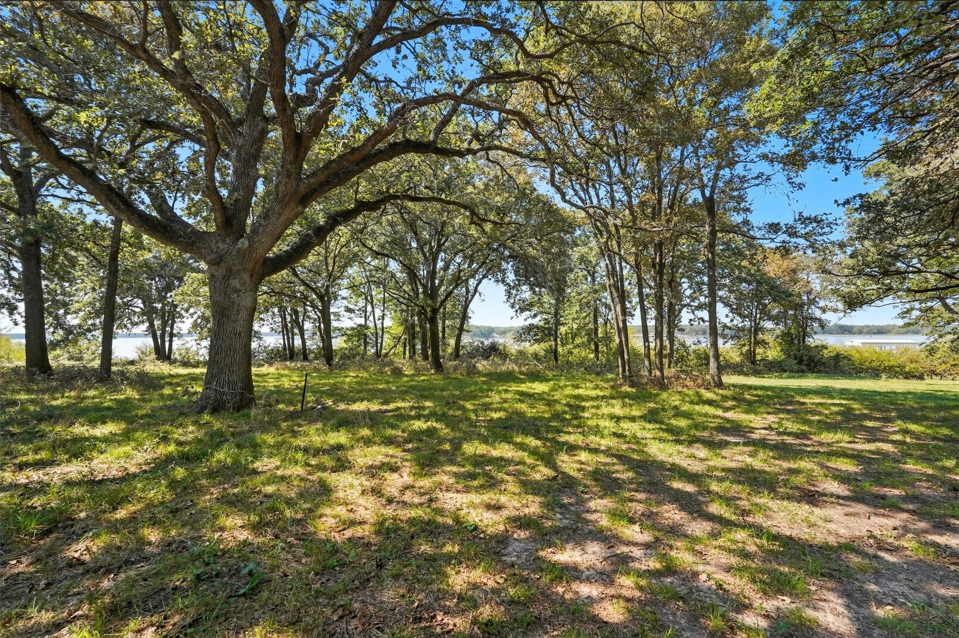 79.96 acres in Hunt County - photo 19
