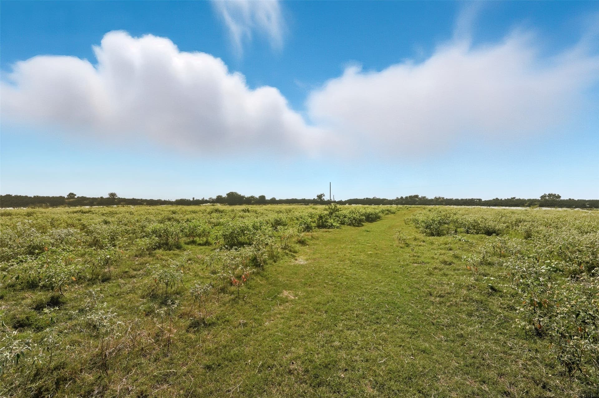 79.96 acres in Hunt County - photo 13