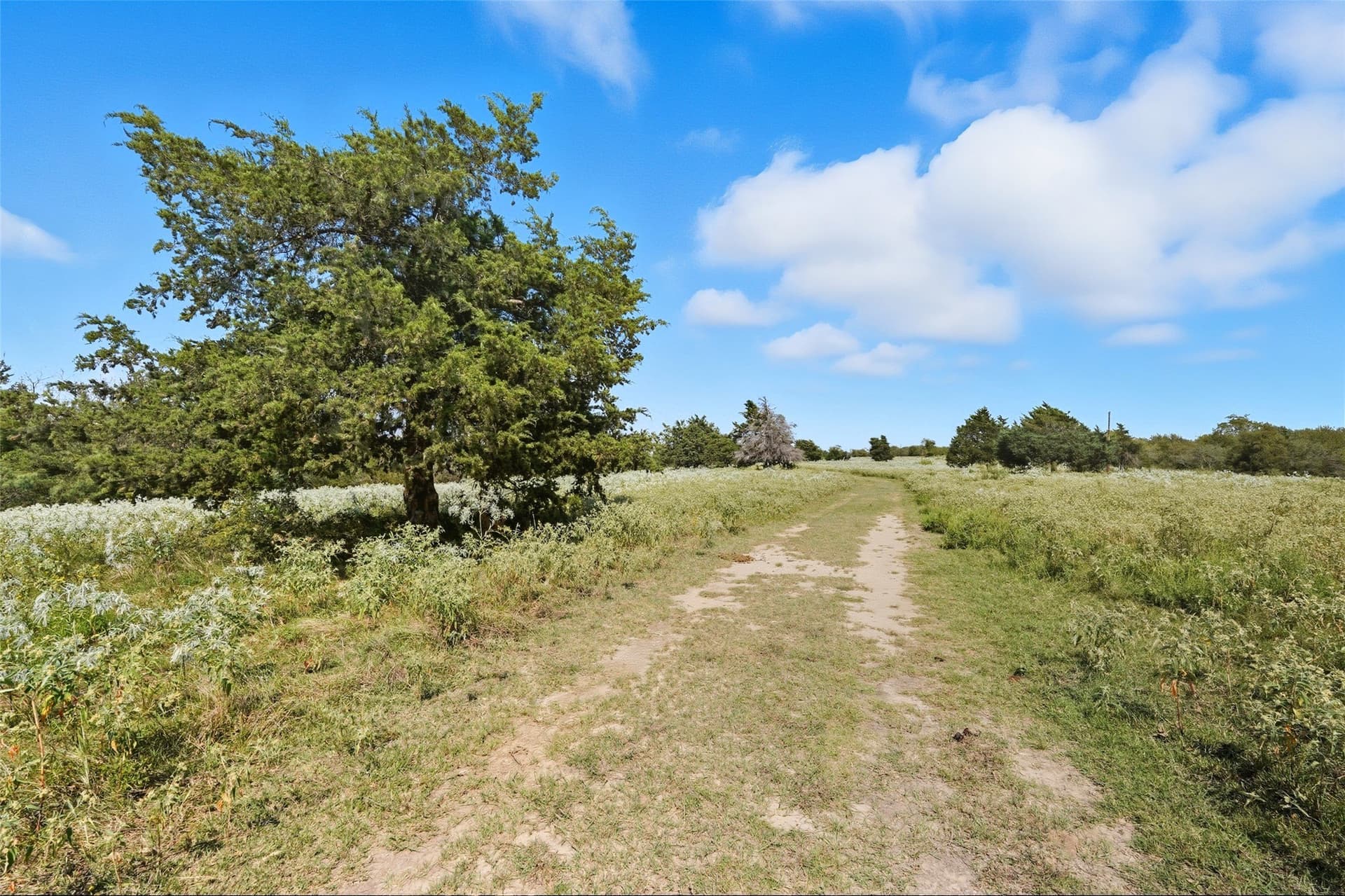 79.96 acres in Hunt County - photo 17