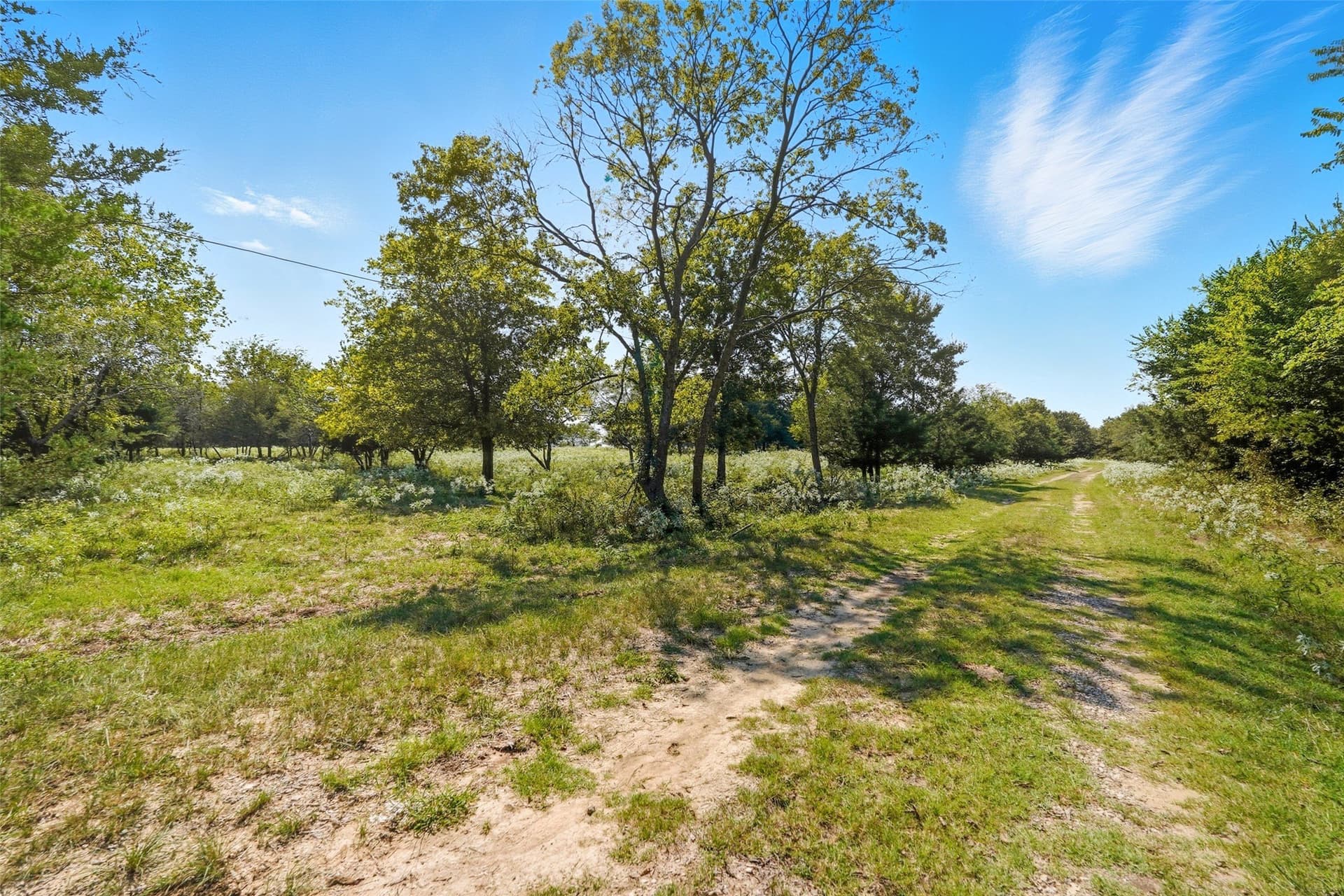 79.96 acres in Hunt County - photo 11