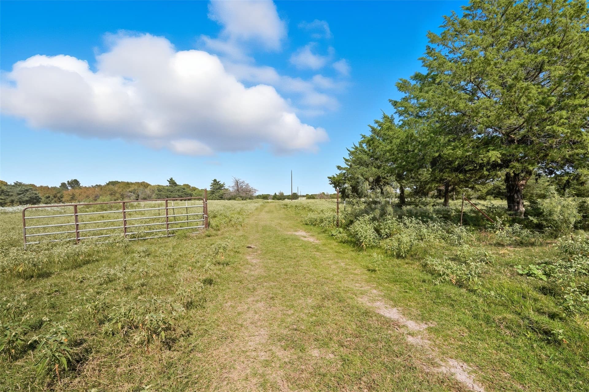 79.96 acres in Hunt County - photo 25