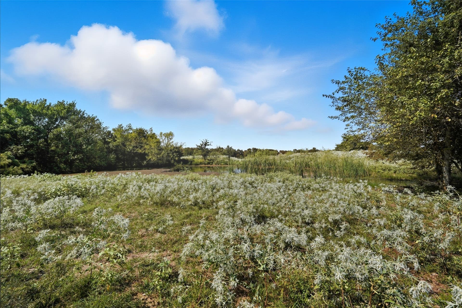 79.96 acres in Hunt County - photo 16