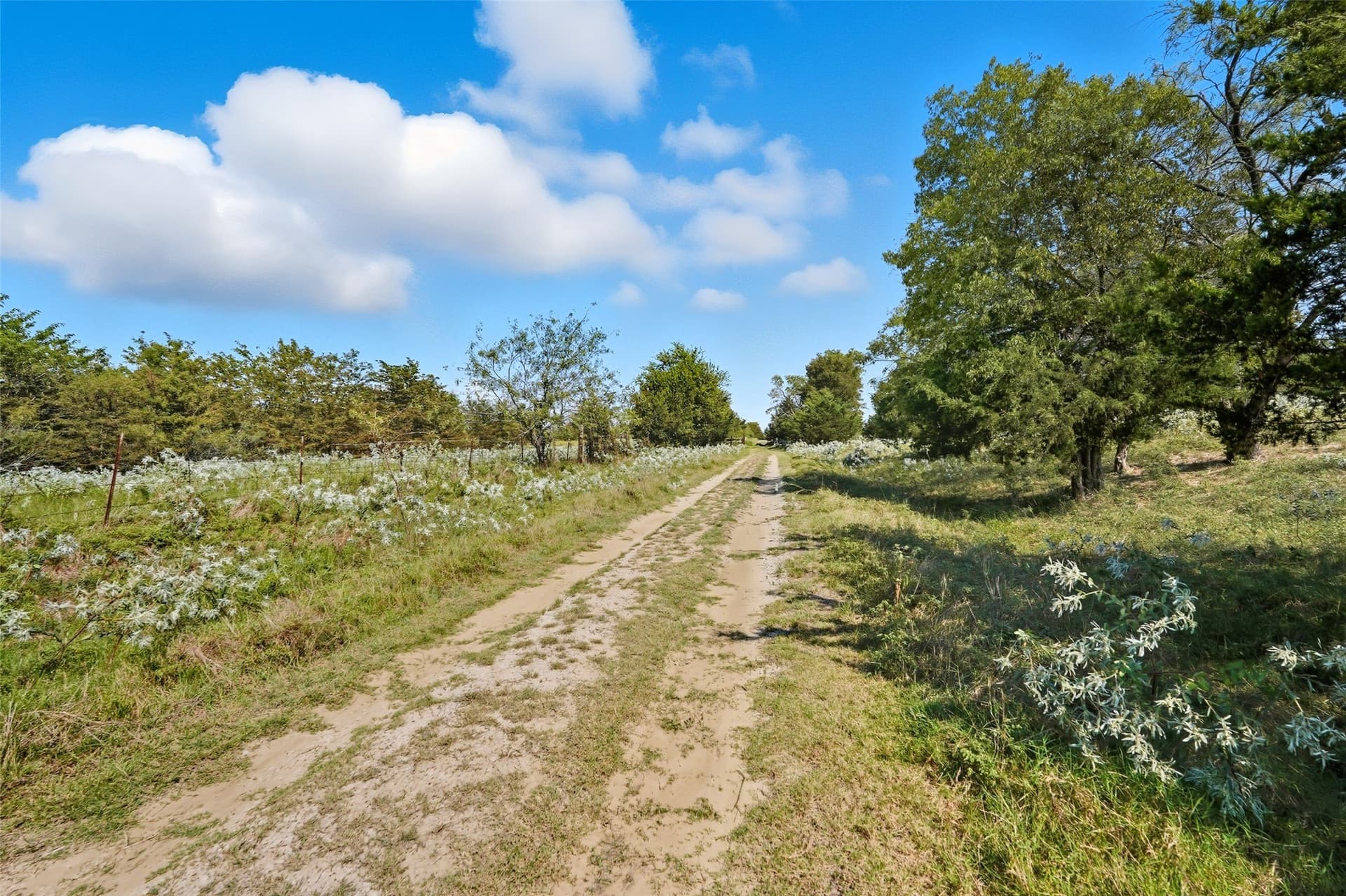 79.96 acres in Hunt County - photo 28