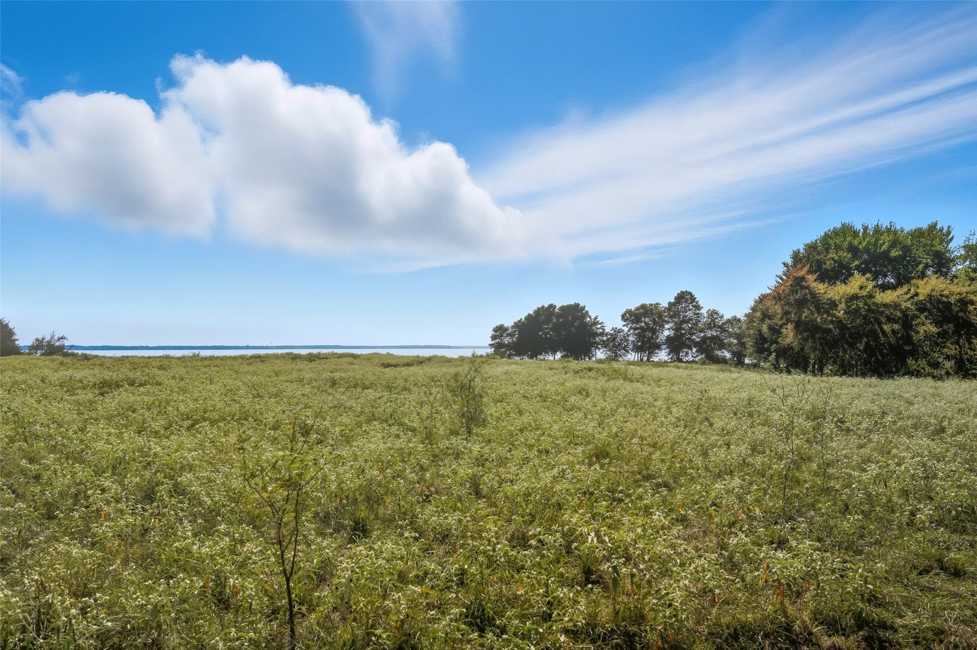 79.96 acres in Hunt County - photo 23