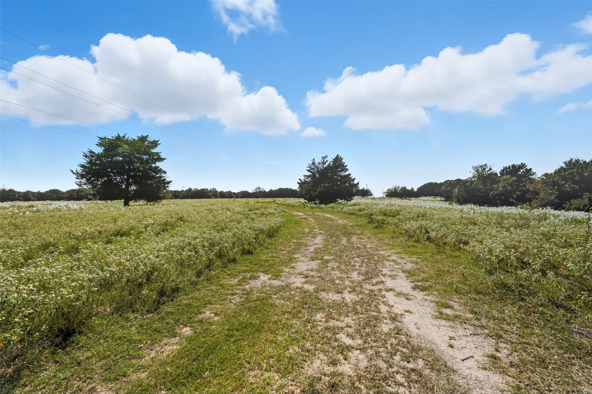 79.96 acres in Hunt County - photo 18