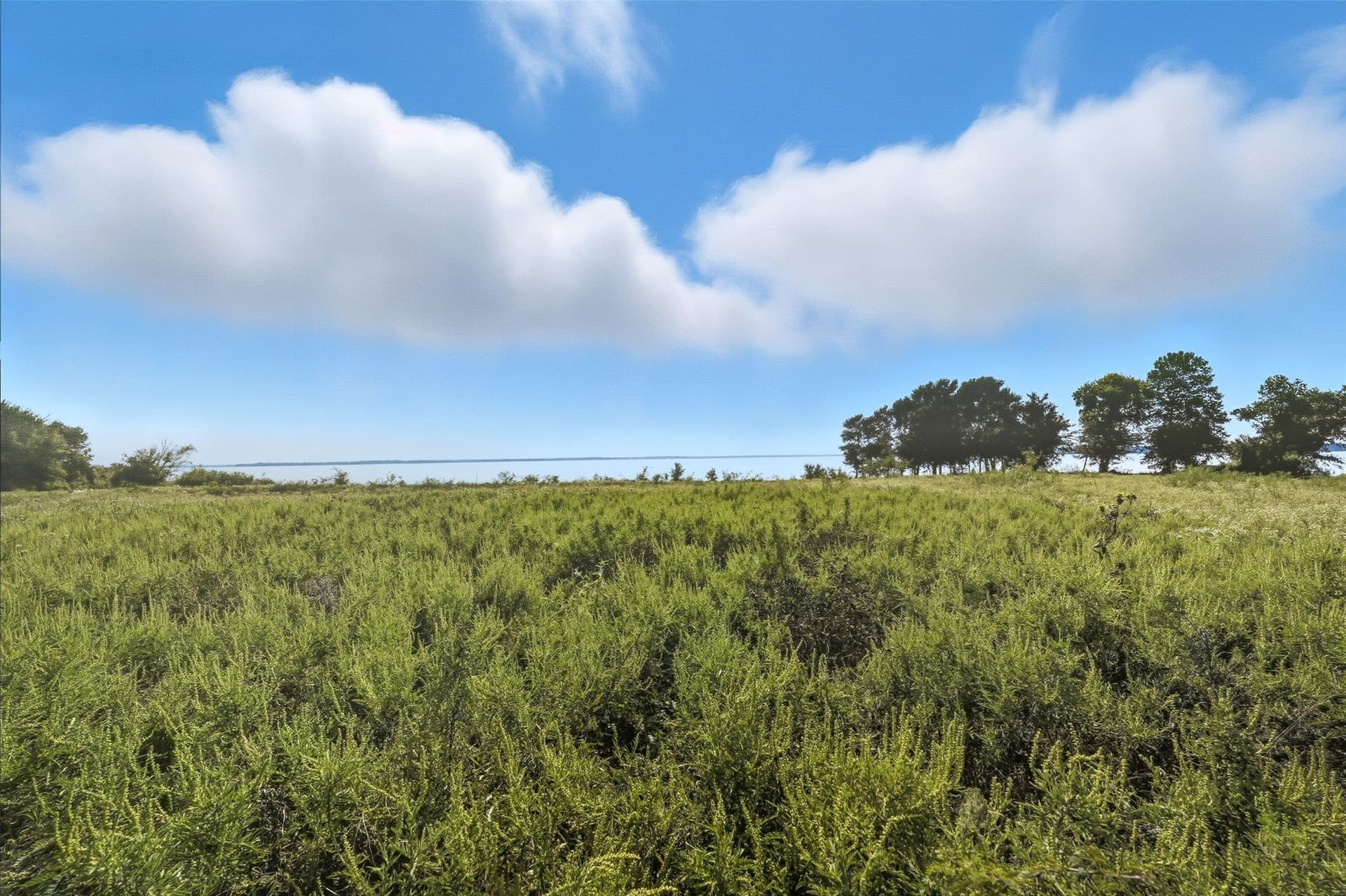 79.96 acres in Hunt County - photo 24