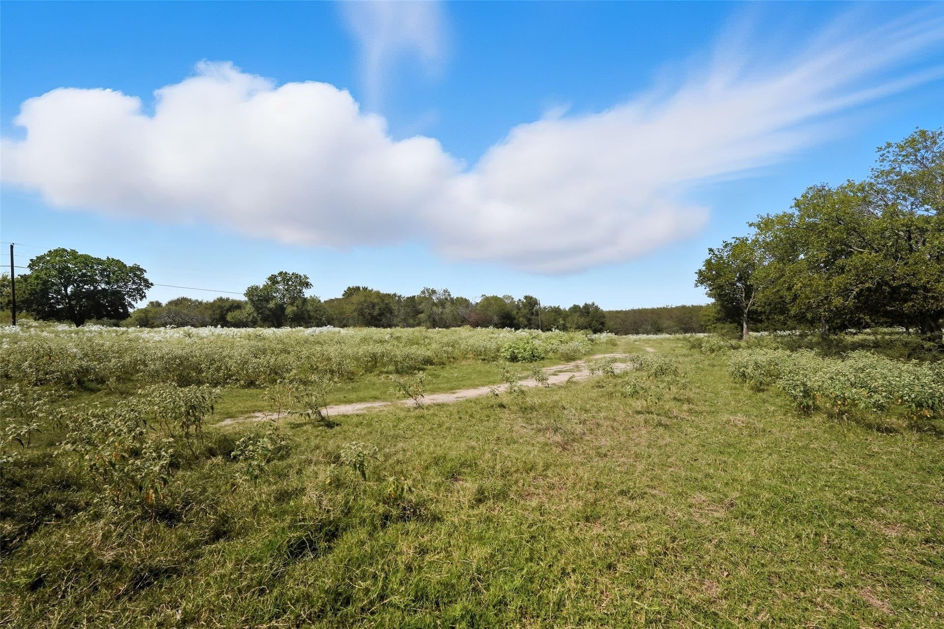 79.96 acres in Hunt County - photo 14